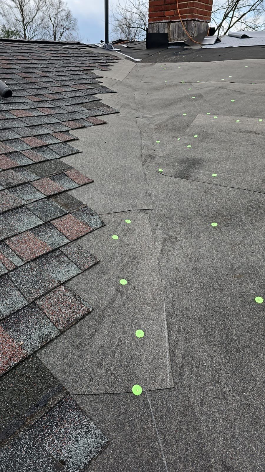 Hickory Shingles by Reimagine Roofing
