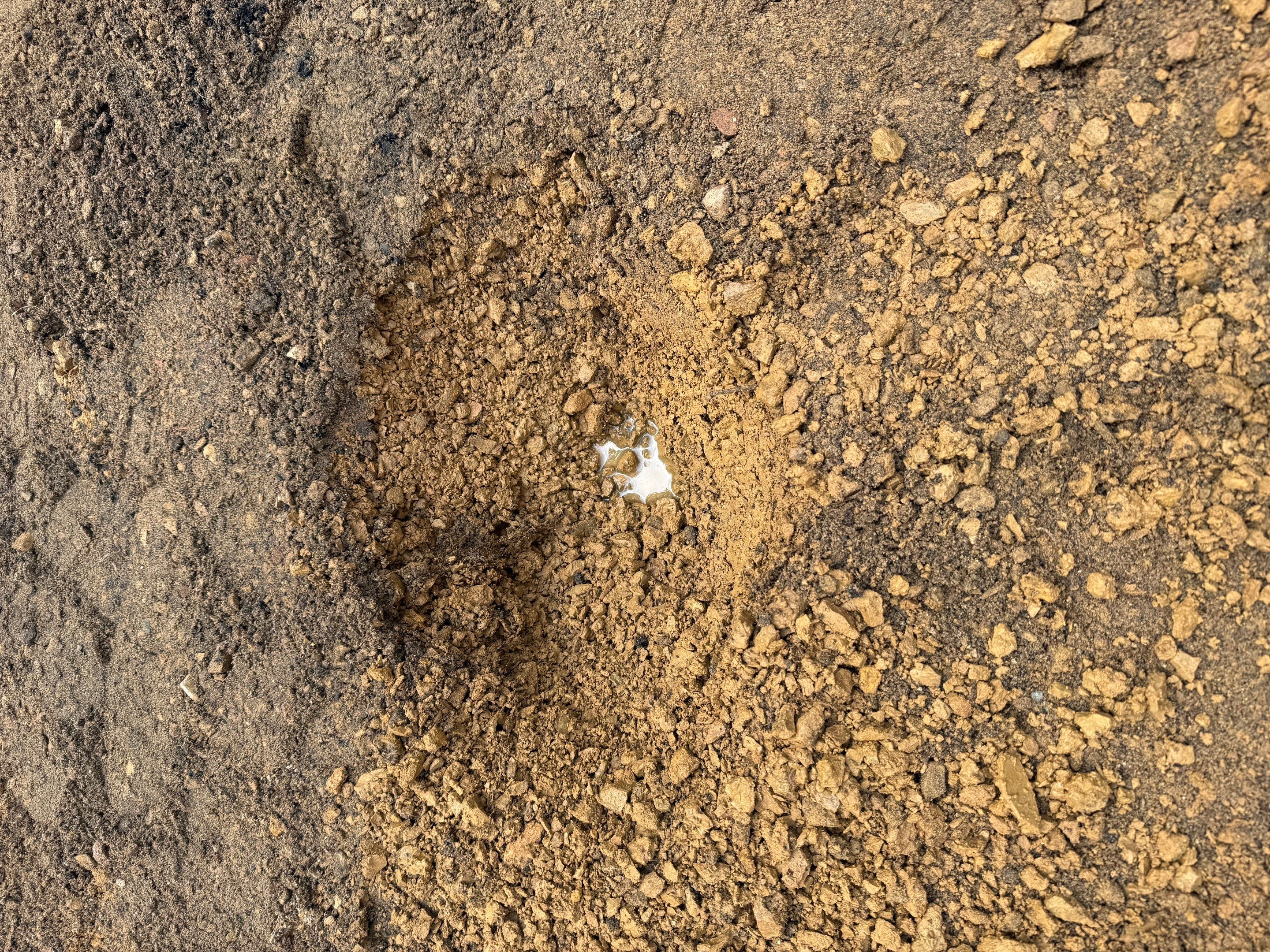 Patio by Sota landscaping