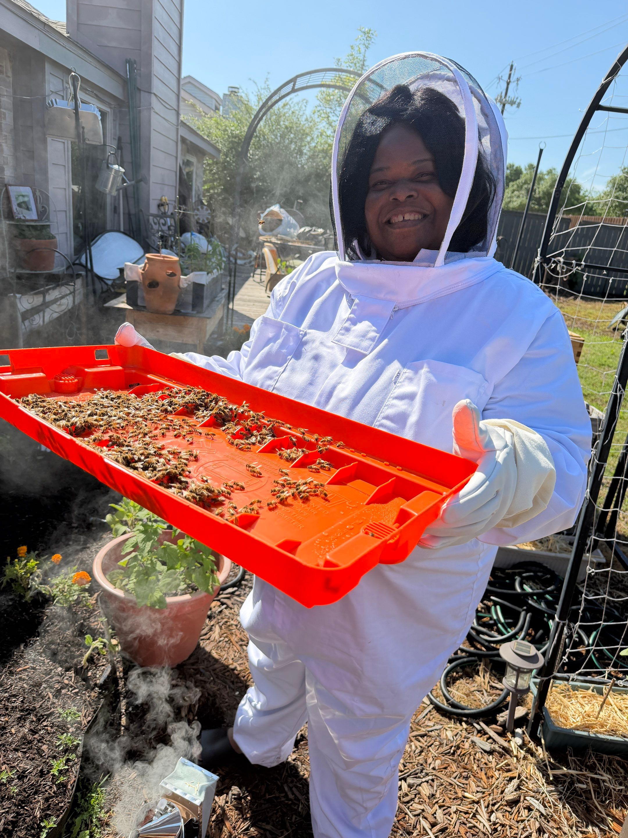 New beekeeper in Rowlett by Rockwall Honey Bee Company