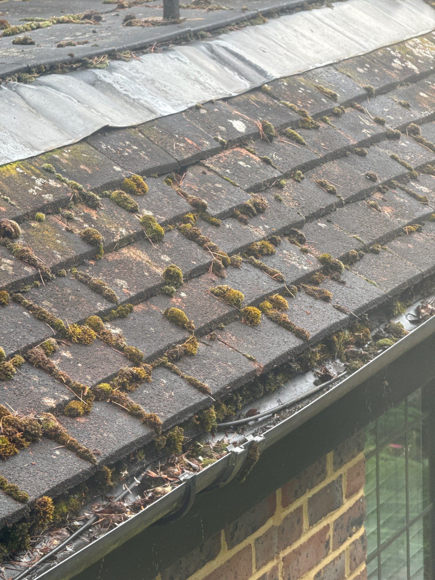 Roof Clean and Biocide Treatment using Honda 15lpm Low Pressure Washing Machine by Ges Exterior Cleaning ltd