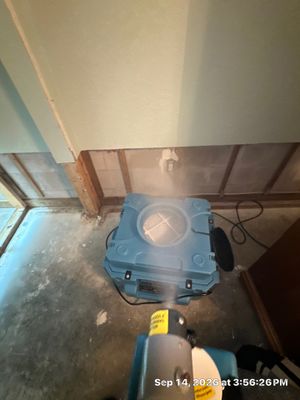 Mold Remediation — Bonita Springs, FL