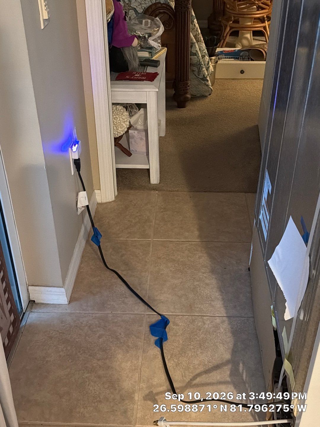 Fort Myers Water Damage Restoration and Professional Mold Remediation by Microscope