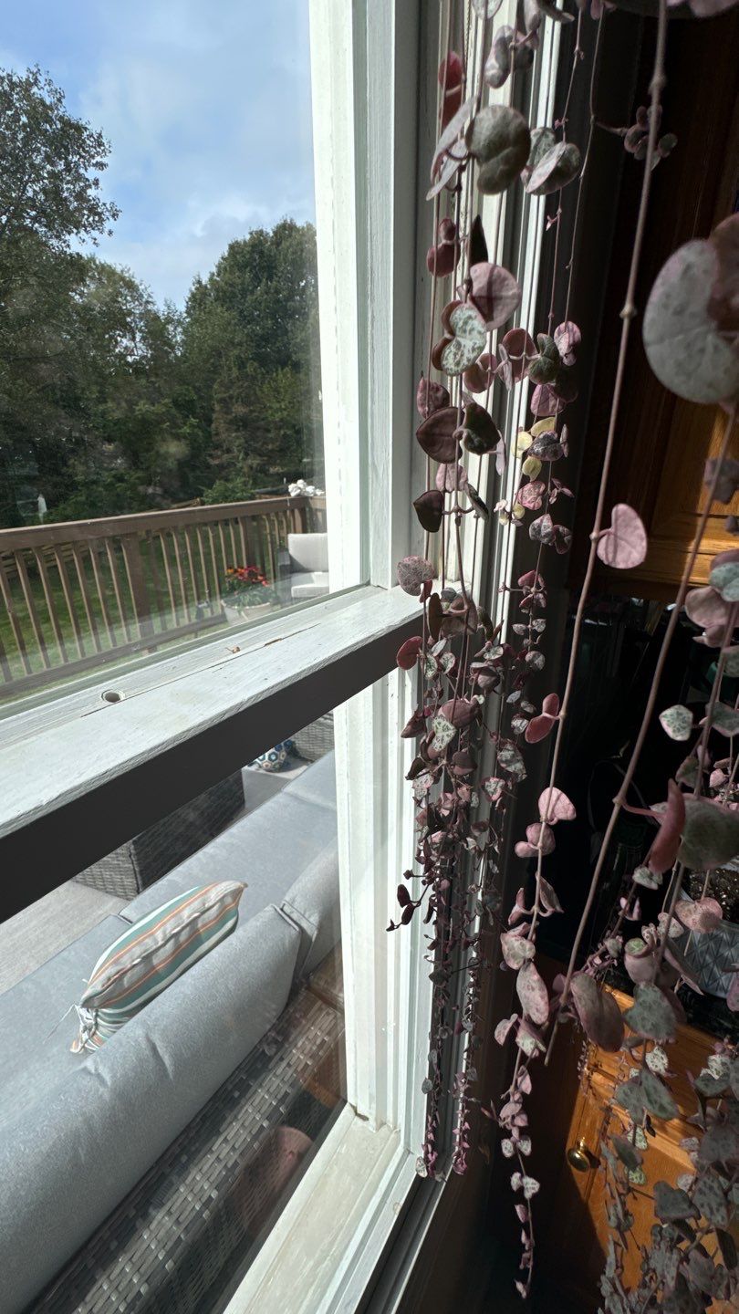 Sterling: Multi-Trade Exterior Renovation by RM Banning, Inc.