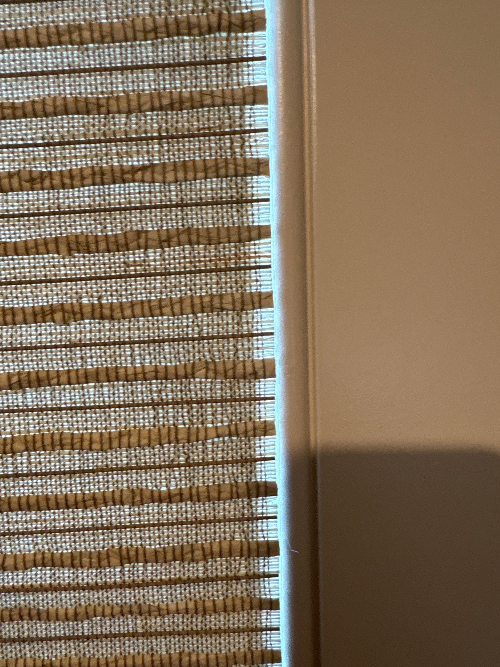 Woven Wood Project in Hazel Green by Blinds and Borders