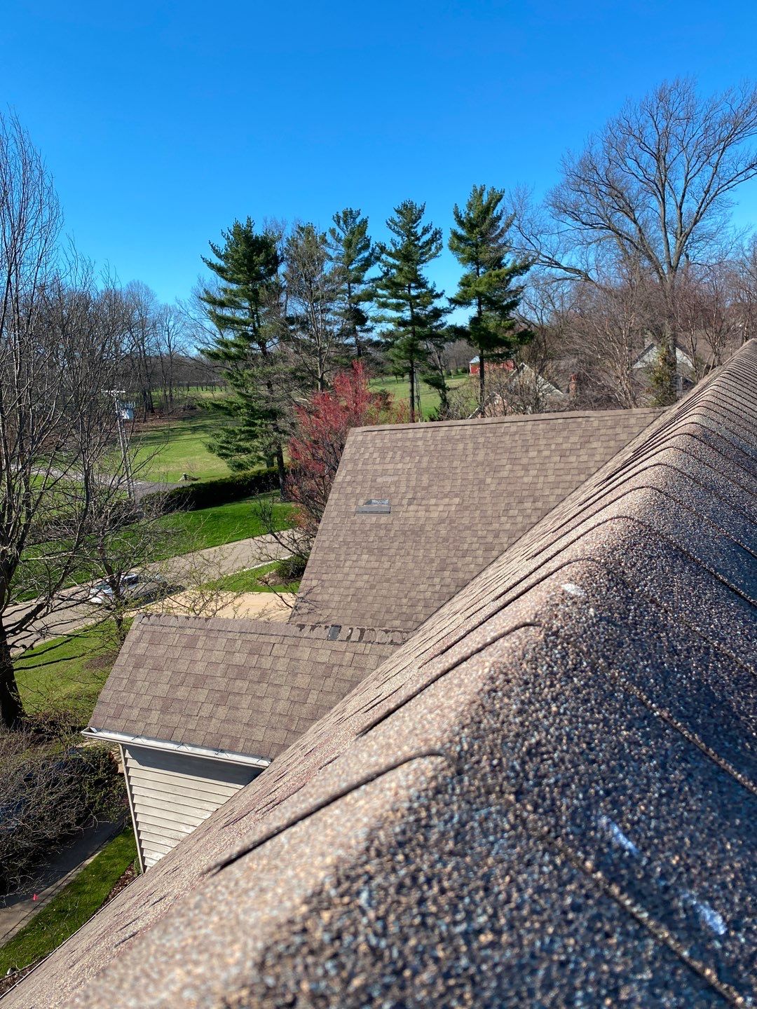 Alan Ross by Silver Leaf Contracting 
