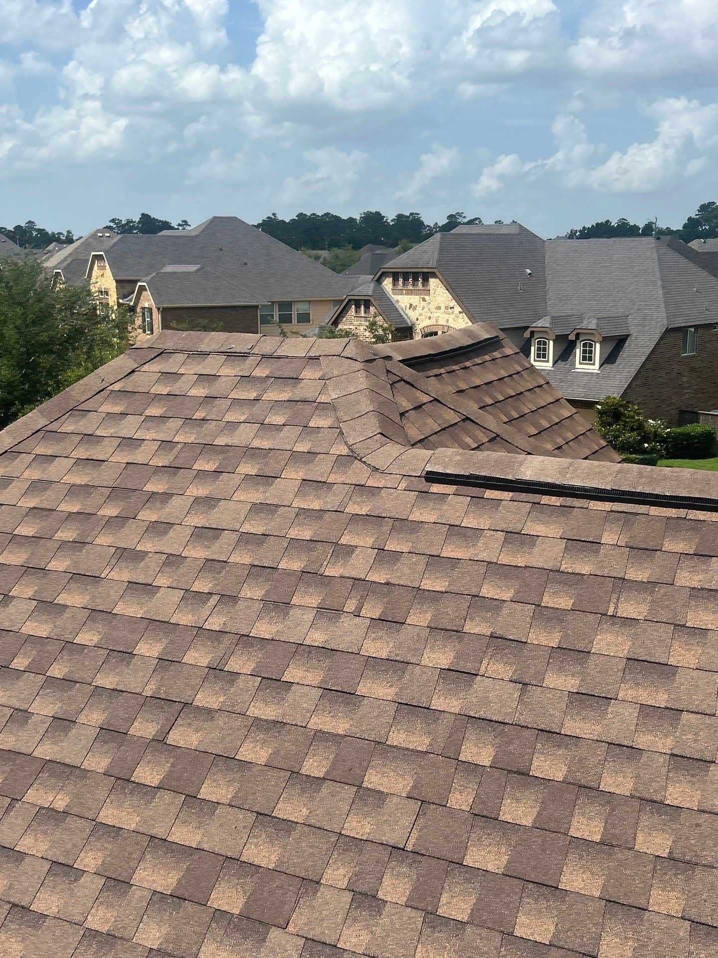 MARY D by Boss Hogg Roofing