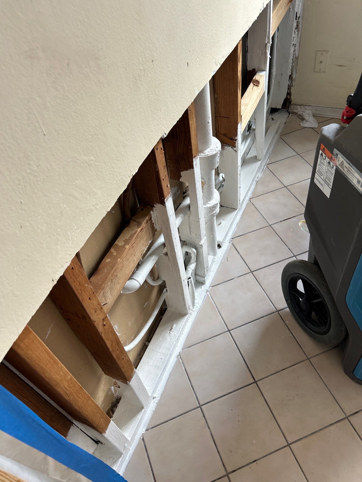 Mold Remediation  by THE RAPID TEAM