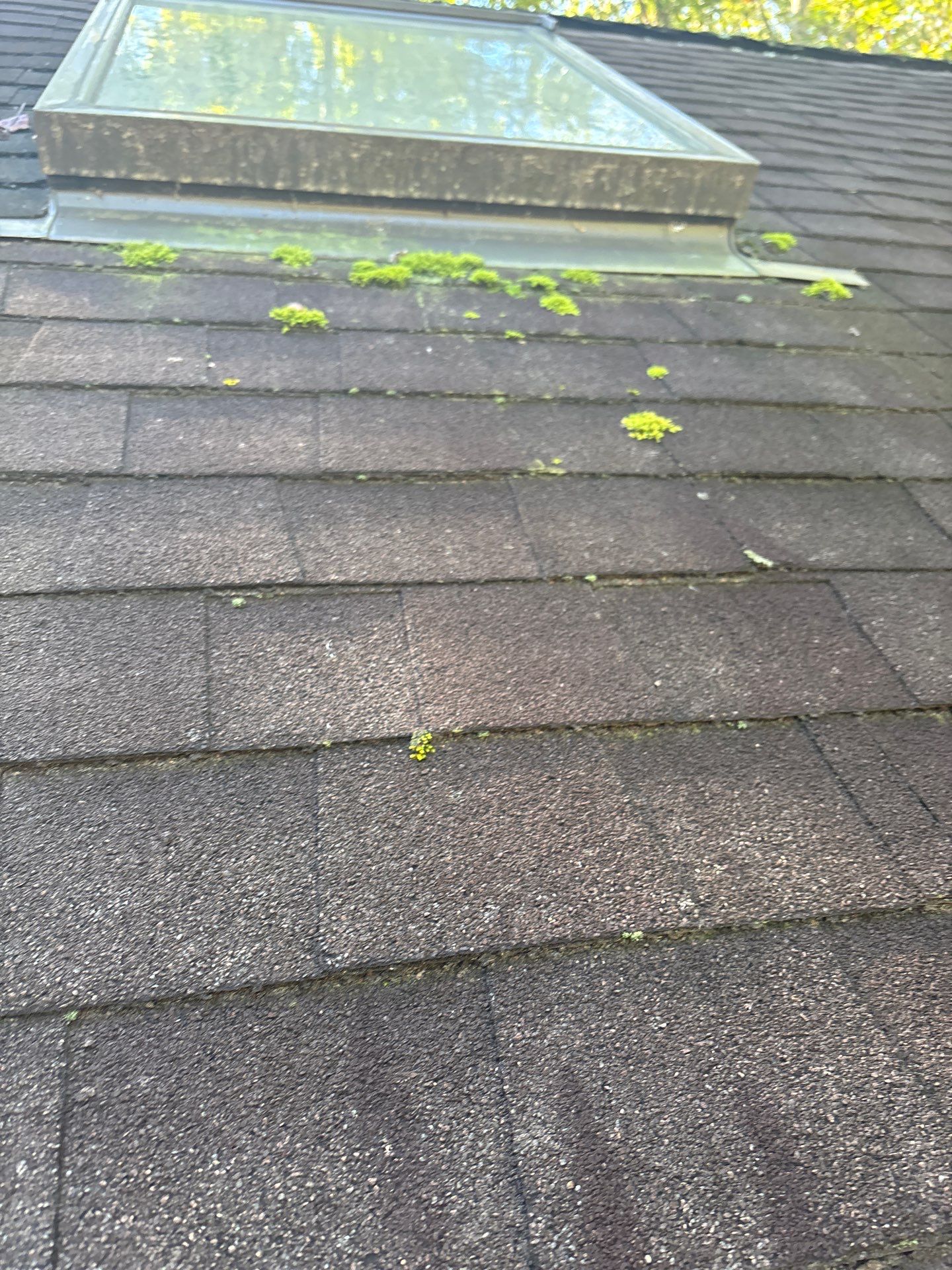 Project in Palmyra by Roof Maxx of Midlothian