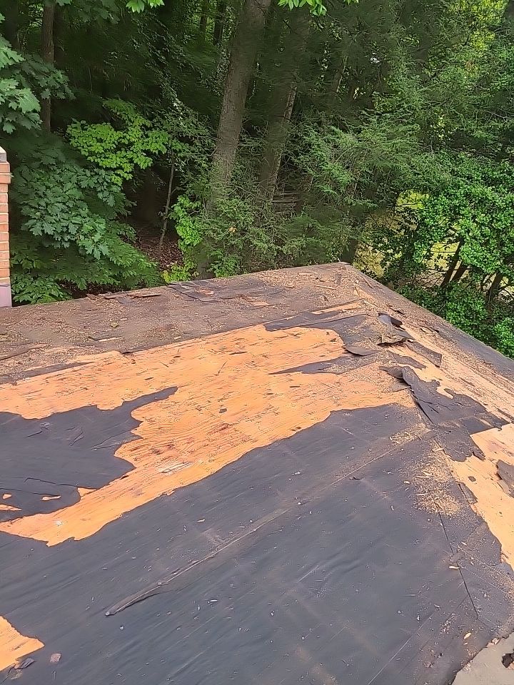 Fairfax Station: CertainTeed Landmark Pro Designer Shingles in Max Def Resawn Shake by RM Banning, Inc.