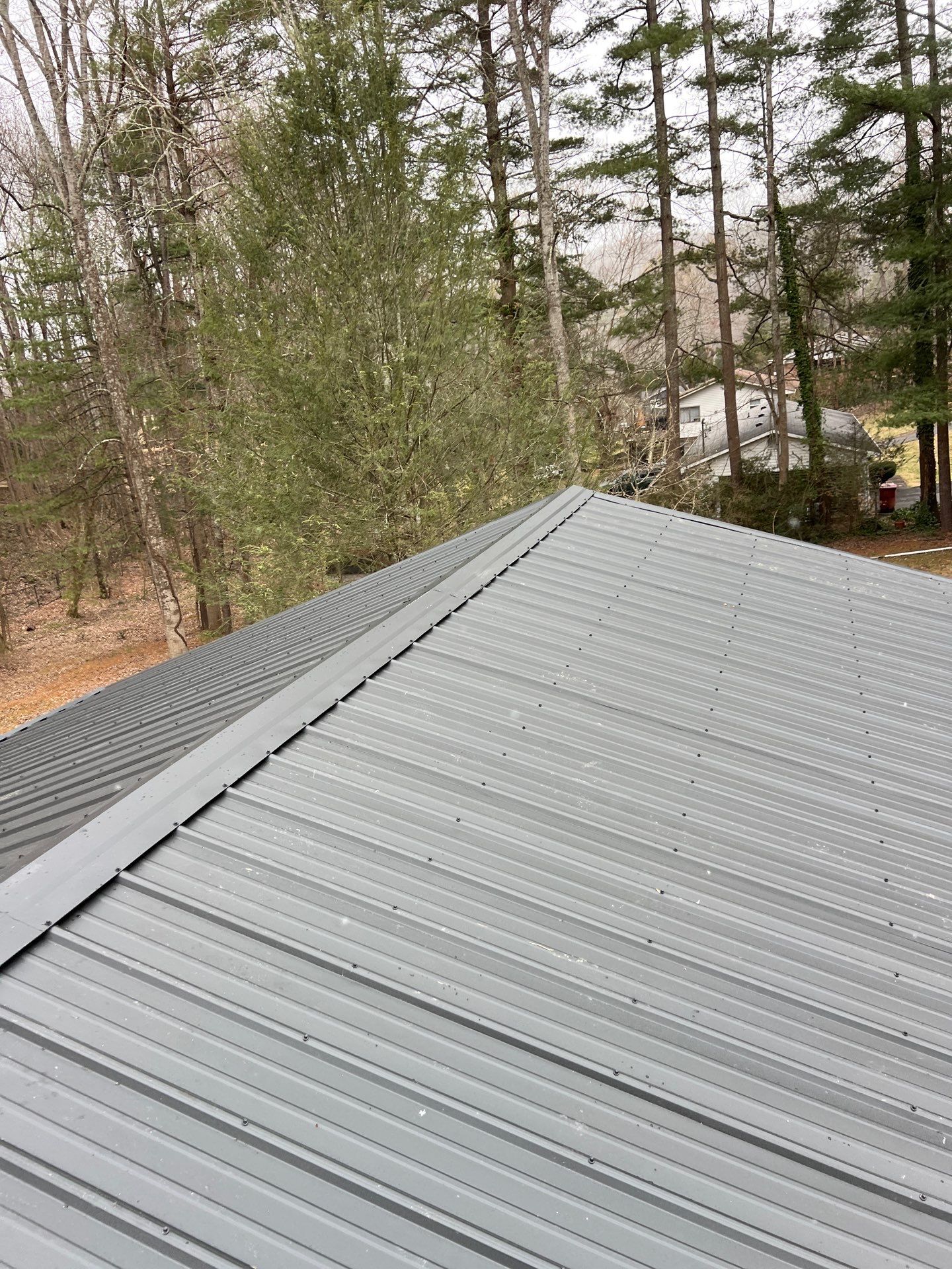 Stewart Residence by Omnia Roofing