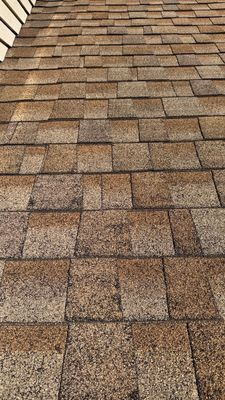 Turtle Shell gutter protection installation in Naperville, IL 60565, photograph 11