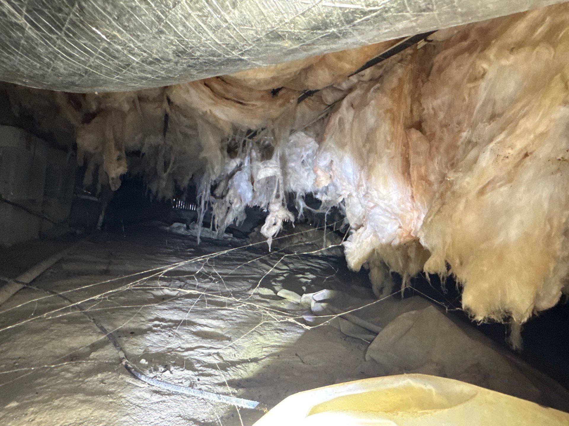 Project in Ivor by Patriot Crawl Space Repairs