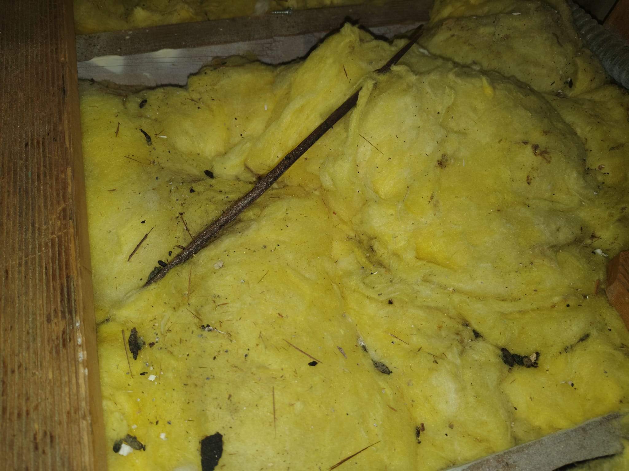 Project in Los Angeles by Advanced Attic Solutions