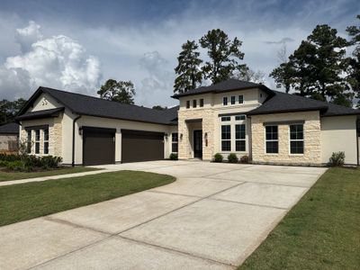 Audubon Elegance: Magnolia Foam & Stucco Showcase.