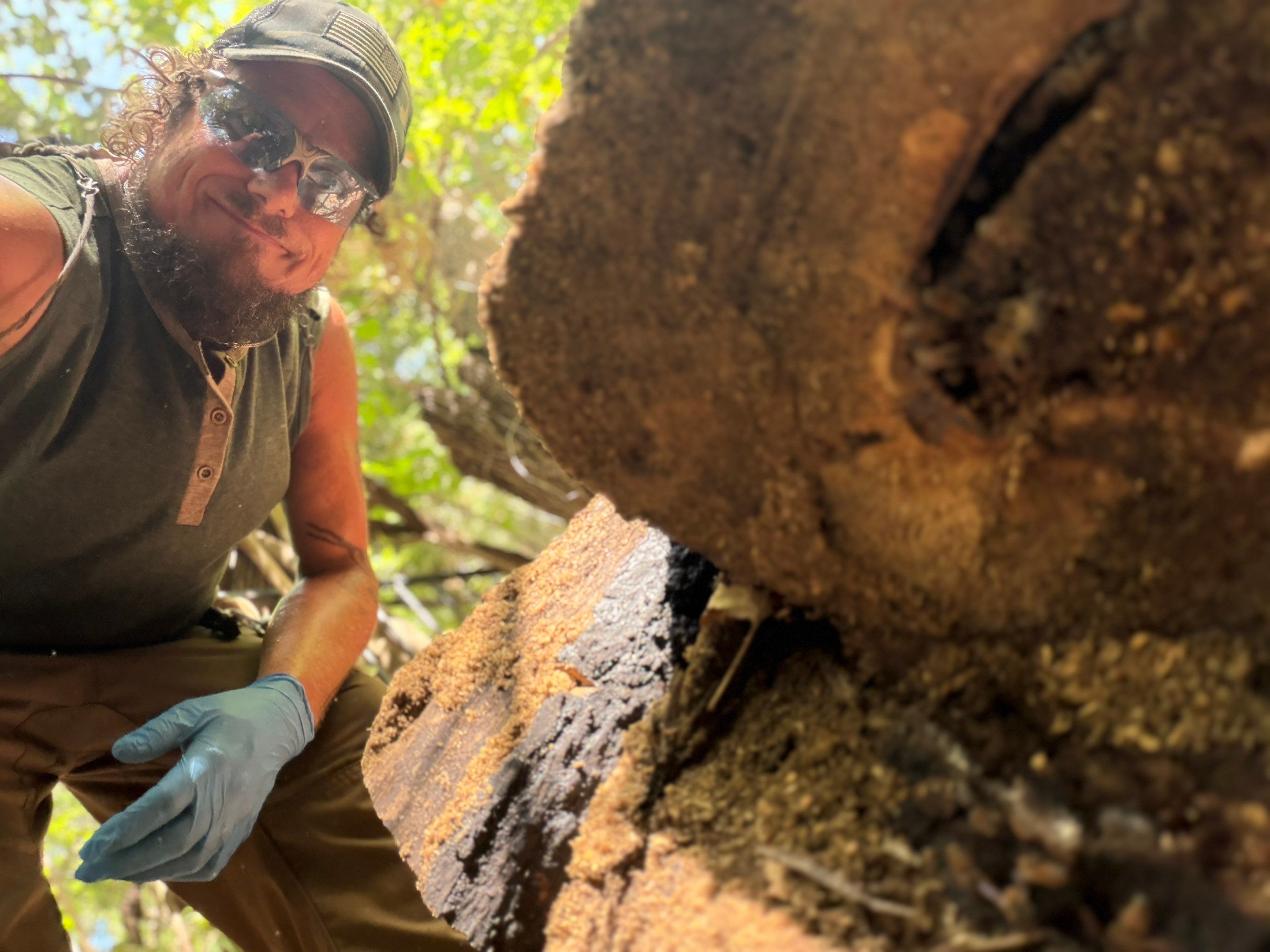 Warranted Removal by Rockwall Honey Bee Company