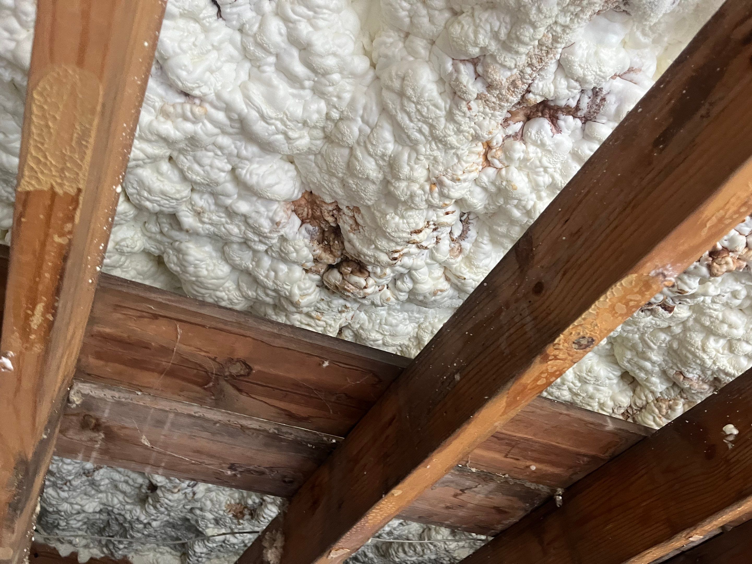 Attic Mold Remediation in Goshen, KY by ANR Restoration