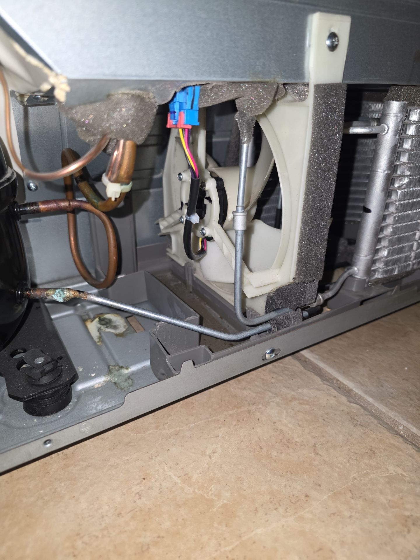 LG InstaView Refrigerator Repair and Component Diagnostic in Sanford by AMB-WORKS APPLIANCE REPAIR