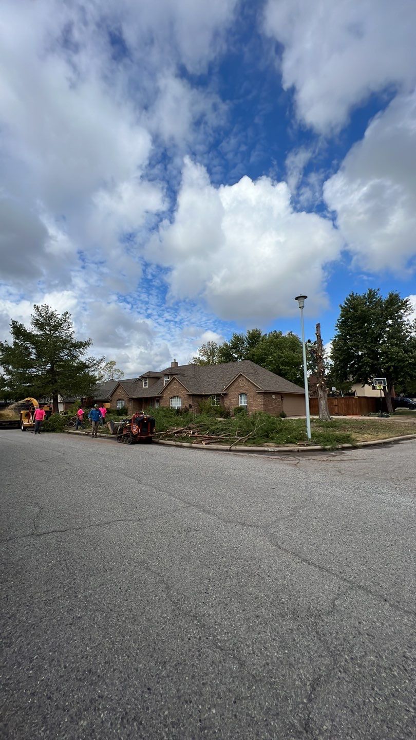 Tree removal , Concrete, Pergola, and sod install  by Clays Services Inc