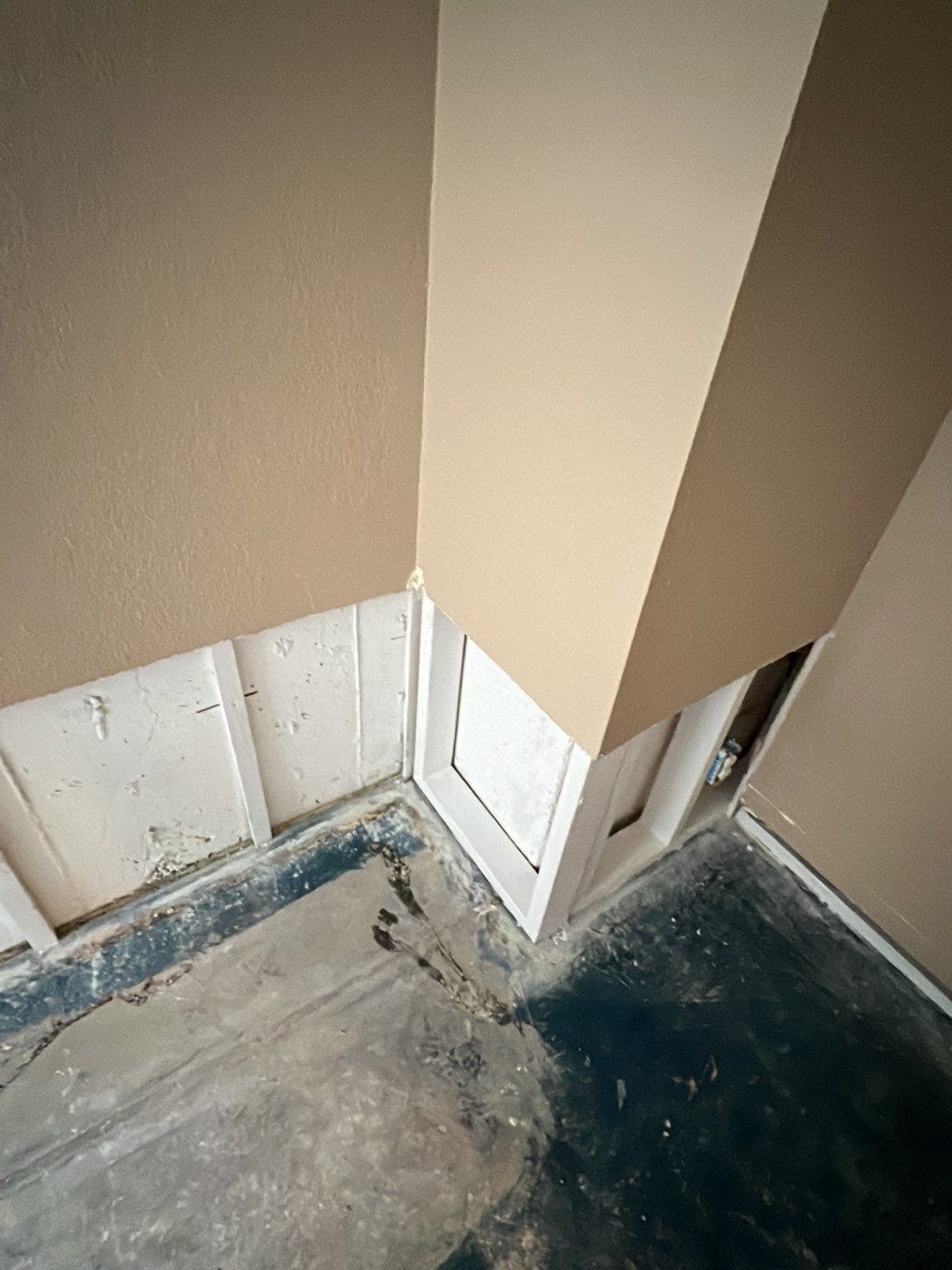 Mold Damage by Accountable Home Services