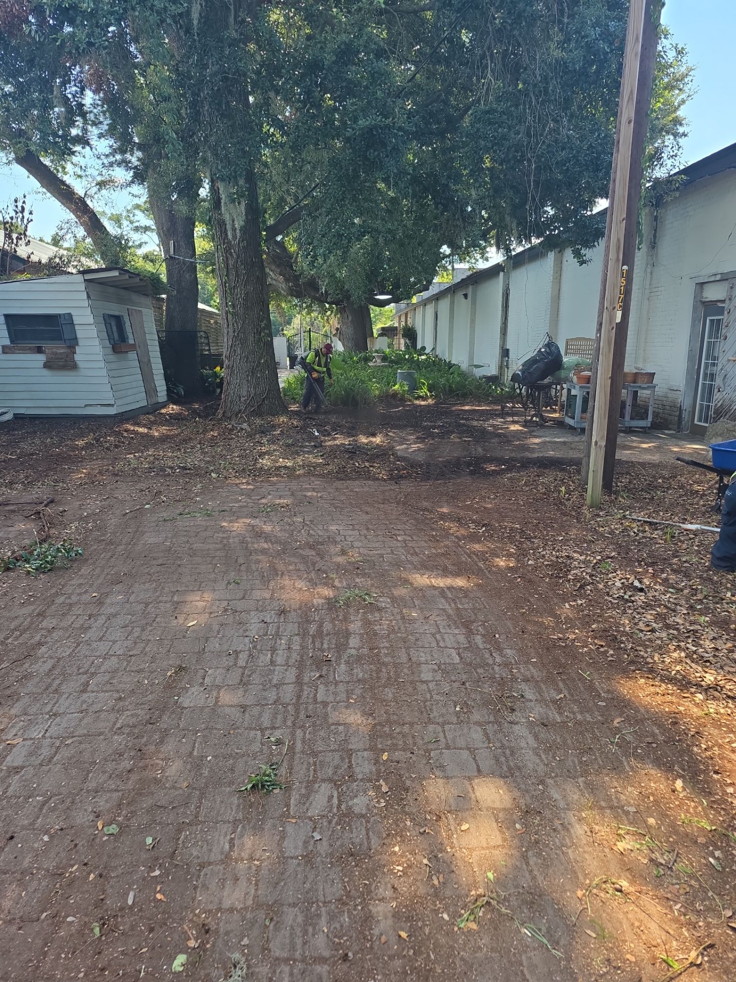 Commercial Property | Clean Up & Tree Removal by ProGreen Services