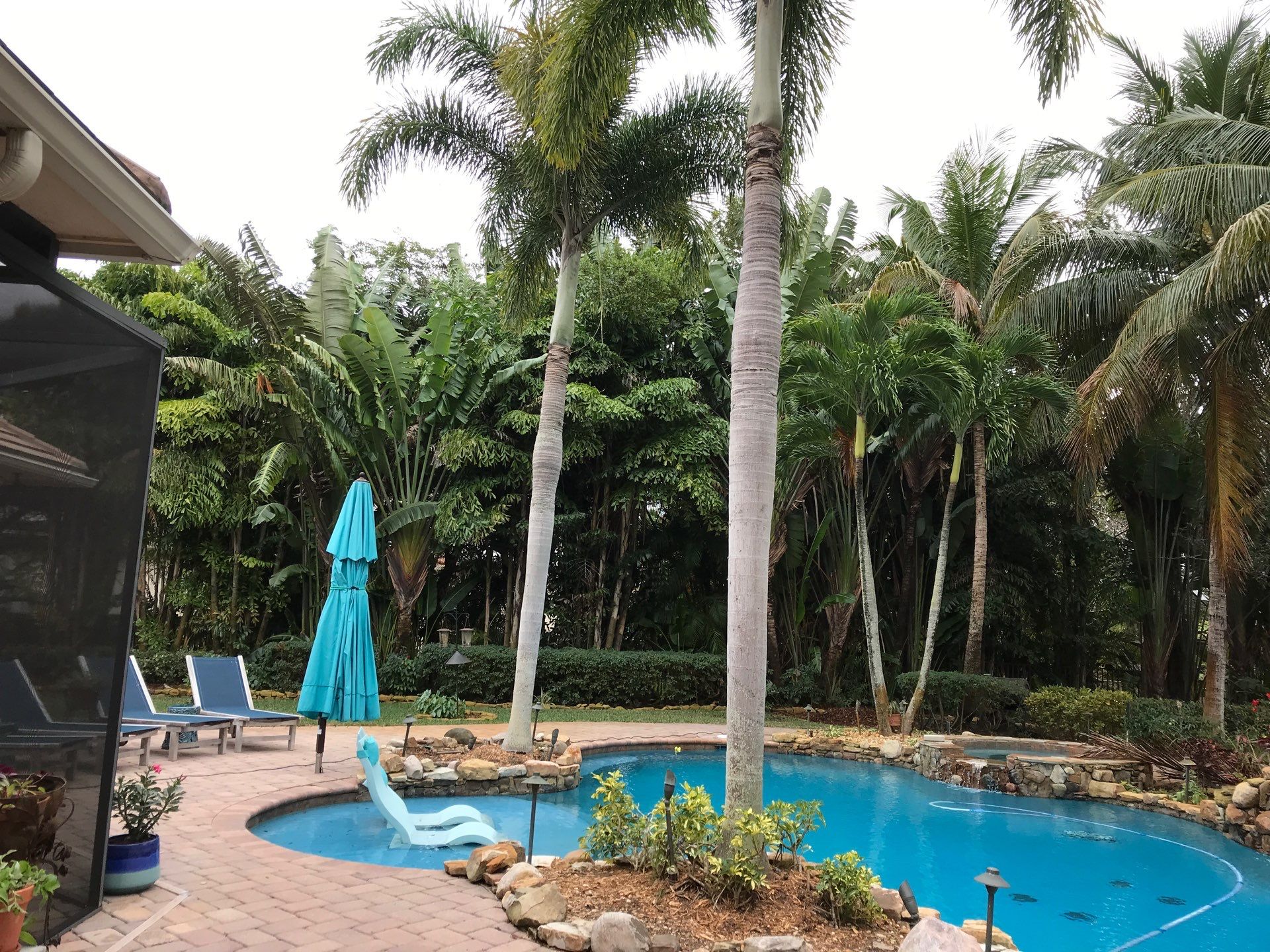 Palm Perfection & Poolside Restoration in Lighthouse Point by Alpha Zeta Enterprises Inc