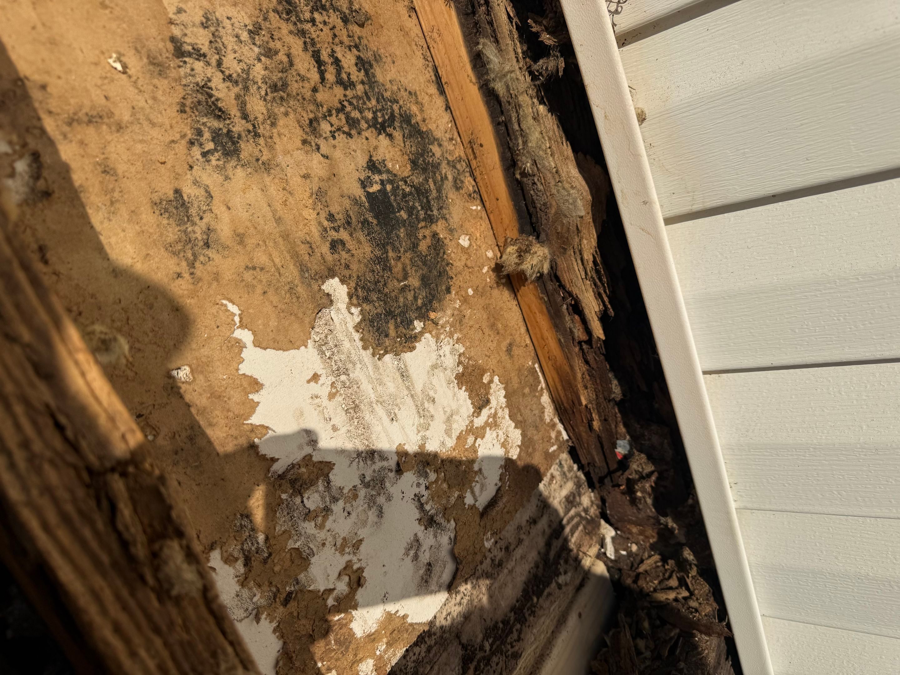 Valdosta Structural Remediation and Interior Renovation with New Header Beams by Trinity General Contracting Pros