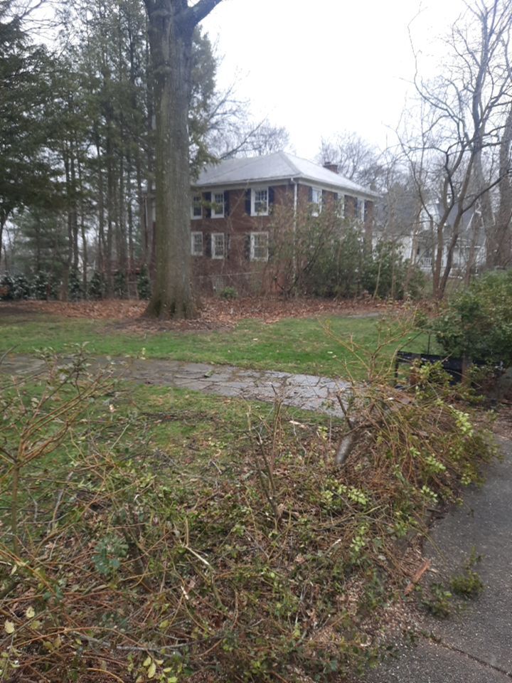 Tree Removal using Tree Removal by Mike Jones & Sons Tree Service LLC 