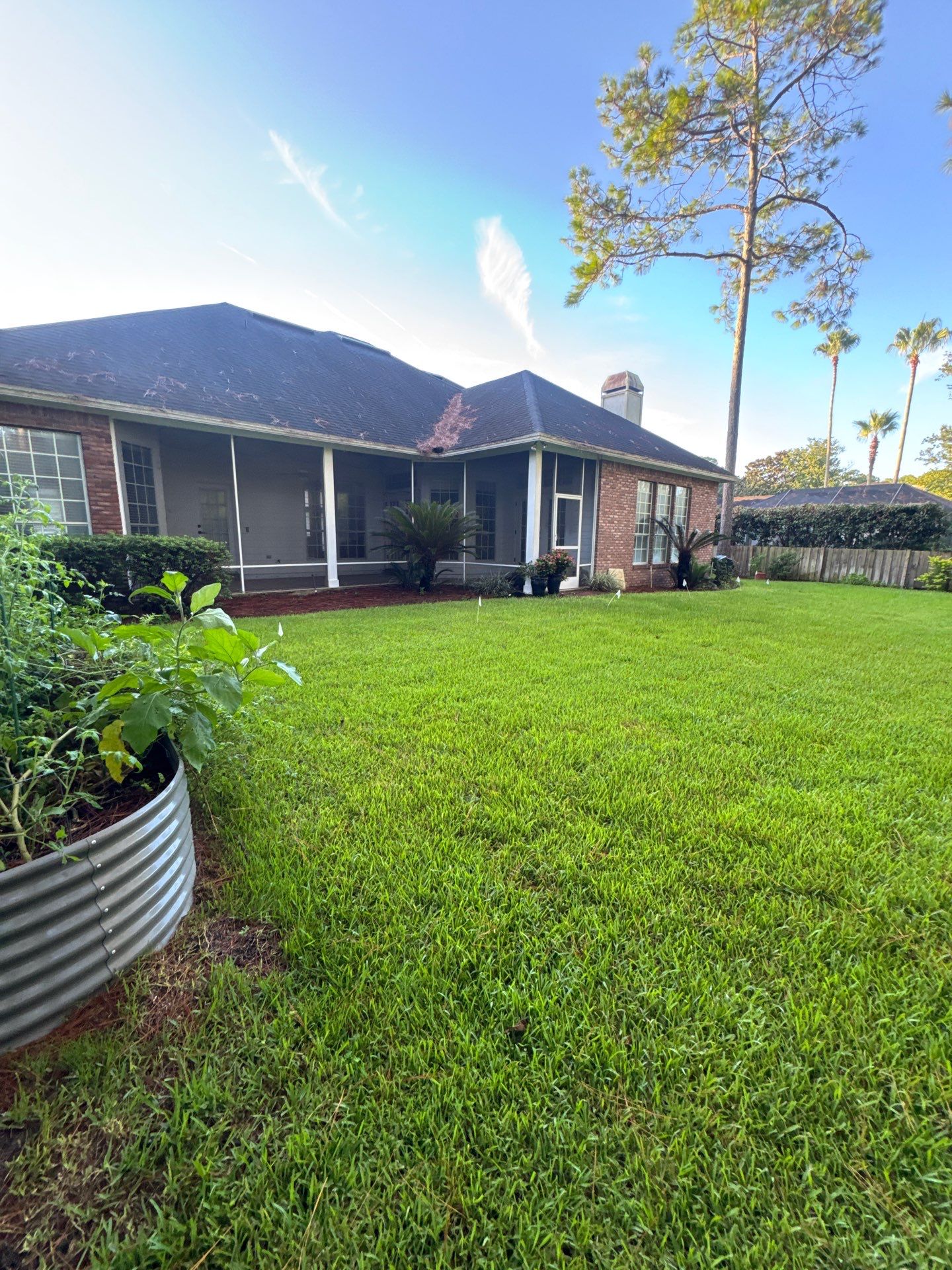 Residential | Shrub Trimming by ProGreen Services
