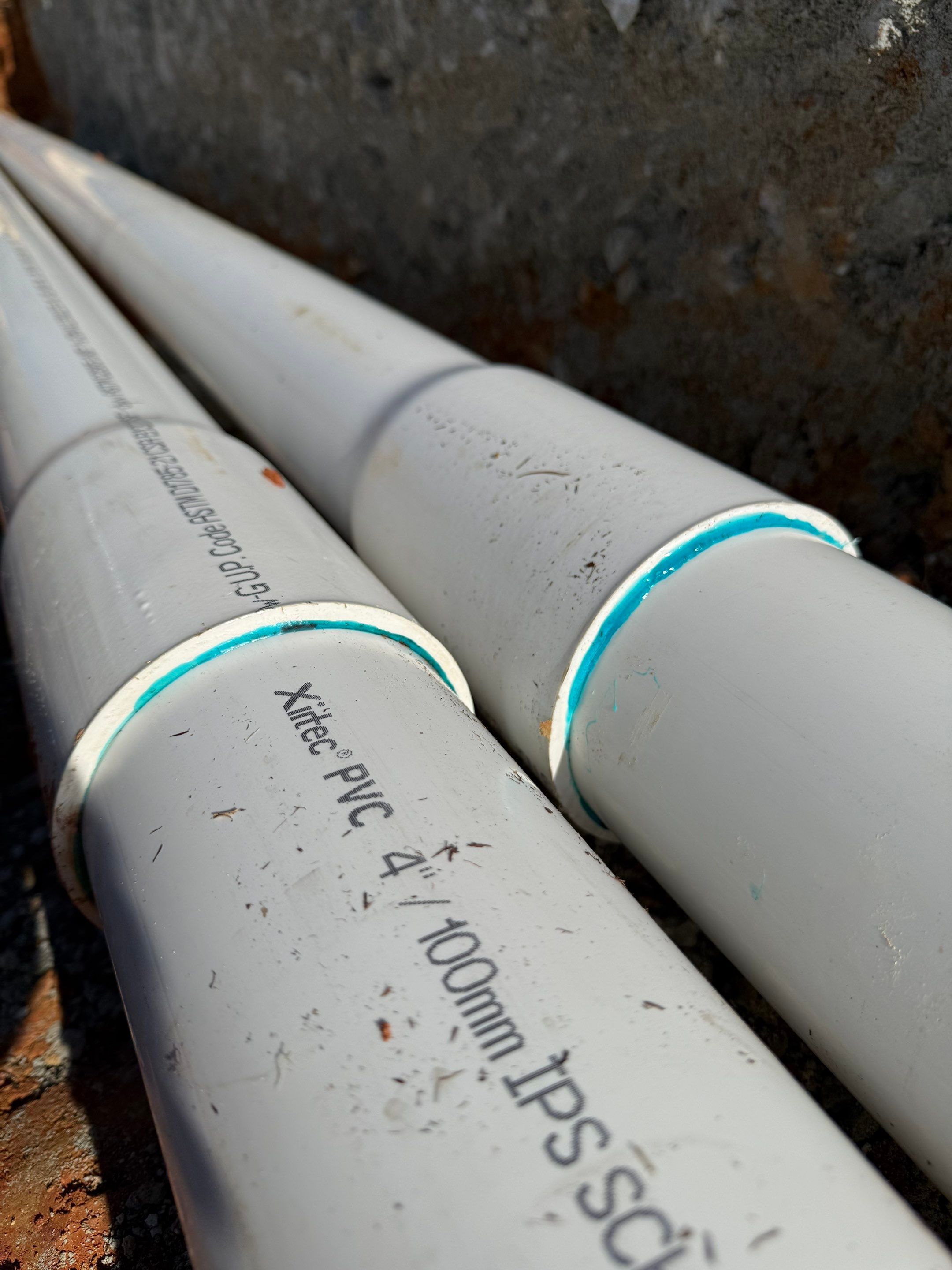 FTB Haribson Bank Project Columbia SC - (Commercial) by Carolina-Metro Landscape, Inc