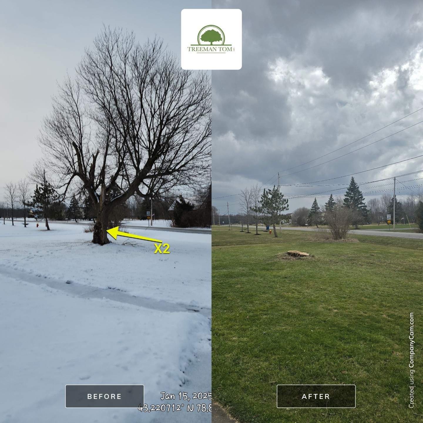 Tree Removal by Treeman Tom LLC