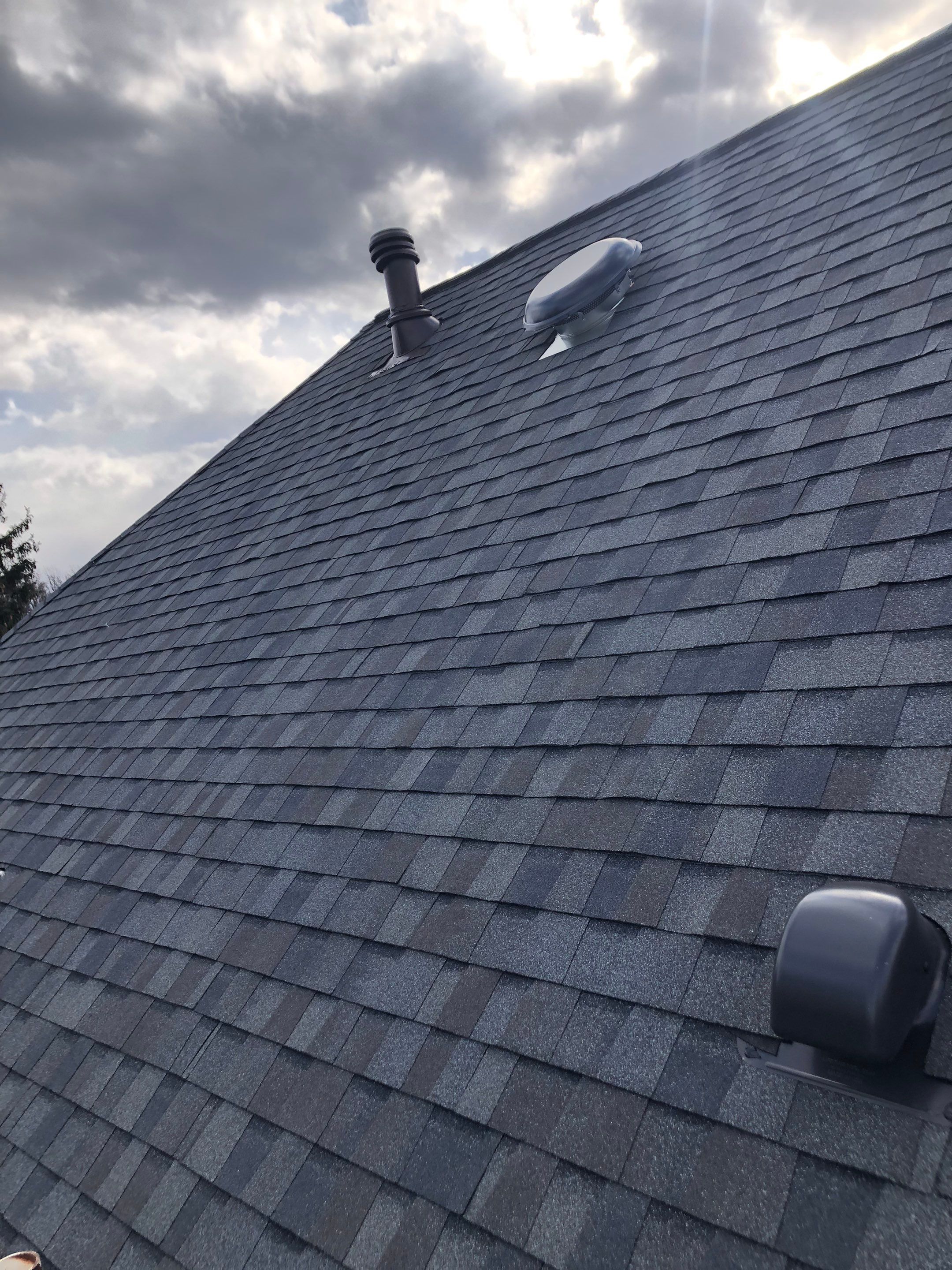 Herndon: CertainTeed Landmark Pro Designer Shingles in Max Def Driftwood by RM Banning, Inc.