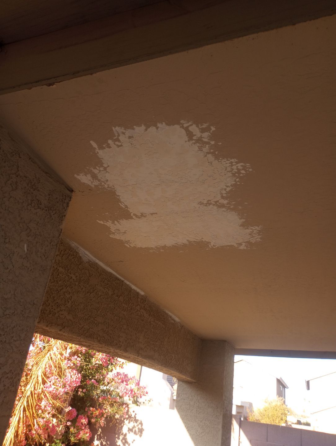 Exterior Painting - Phoenix by Crash of Rhinos Painting & Garage Floors