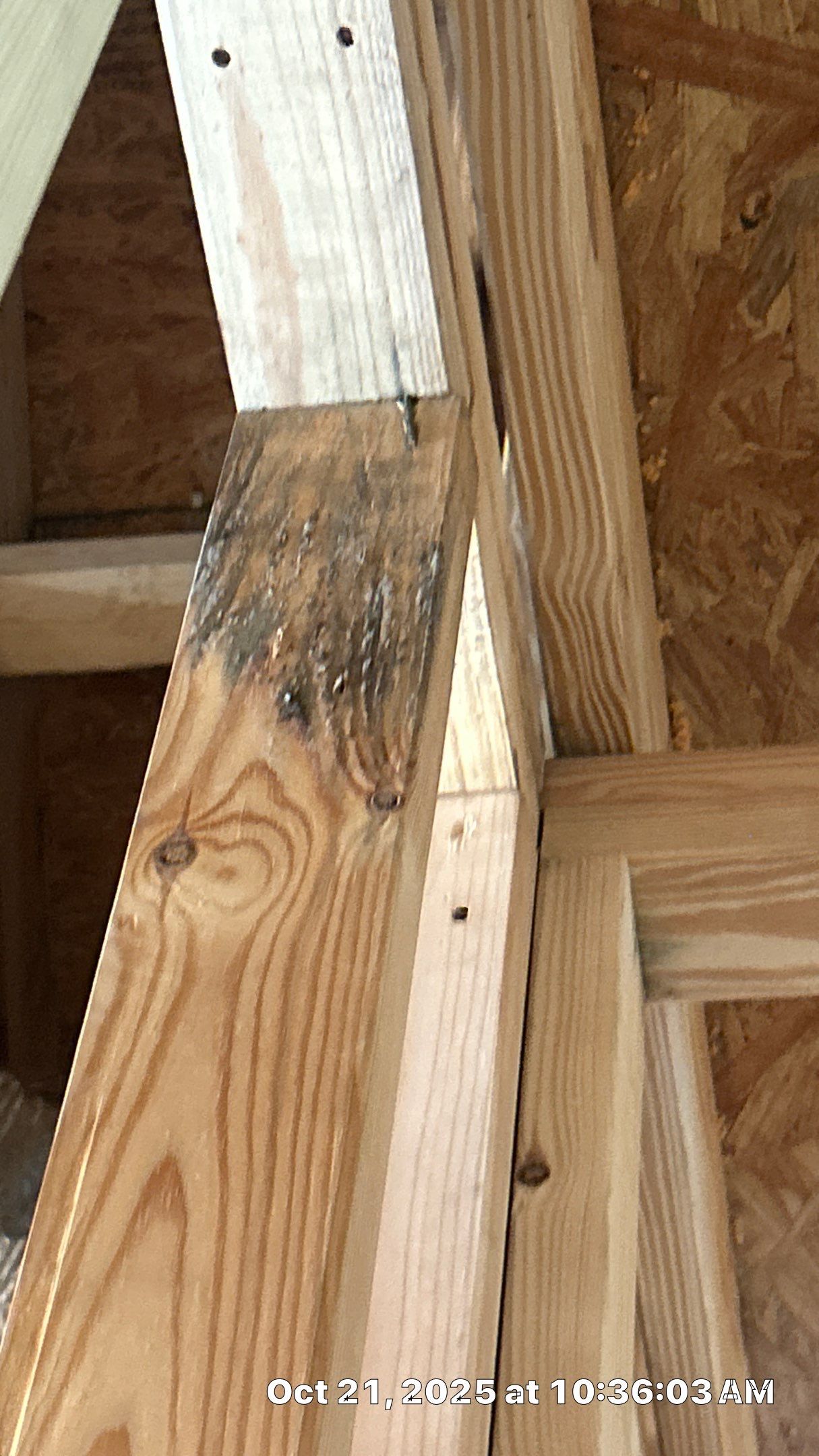 Mold remediation for custom home addition by EAS Environmental, LLC.
