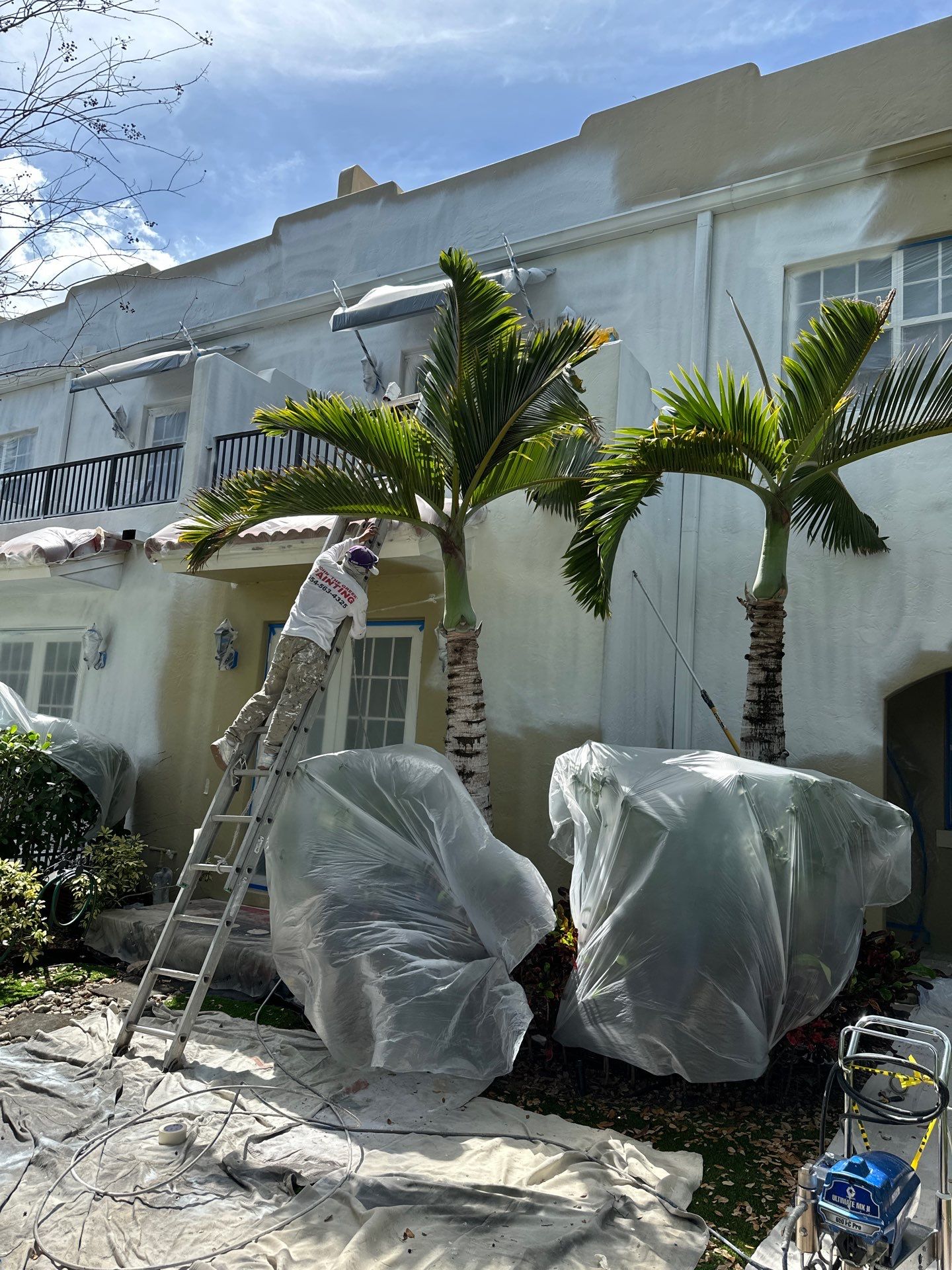 Victoria Park Townhomes by John “The Greek” Painting
