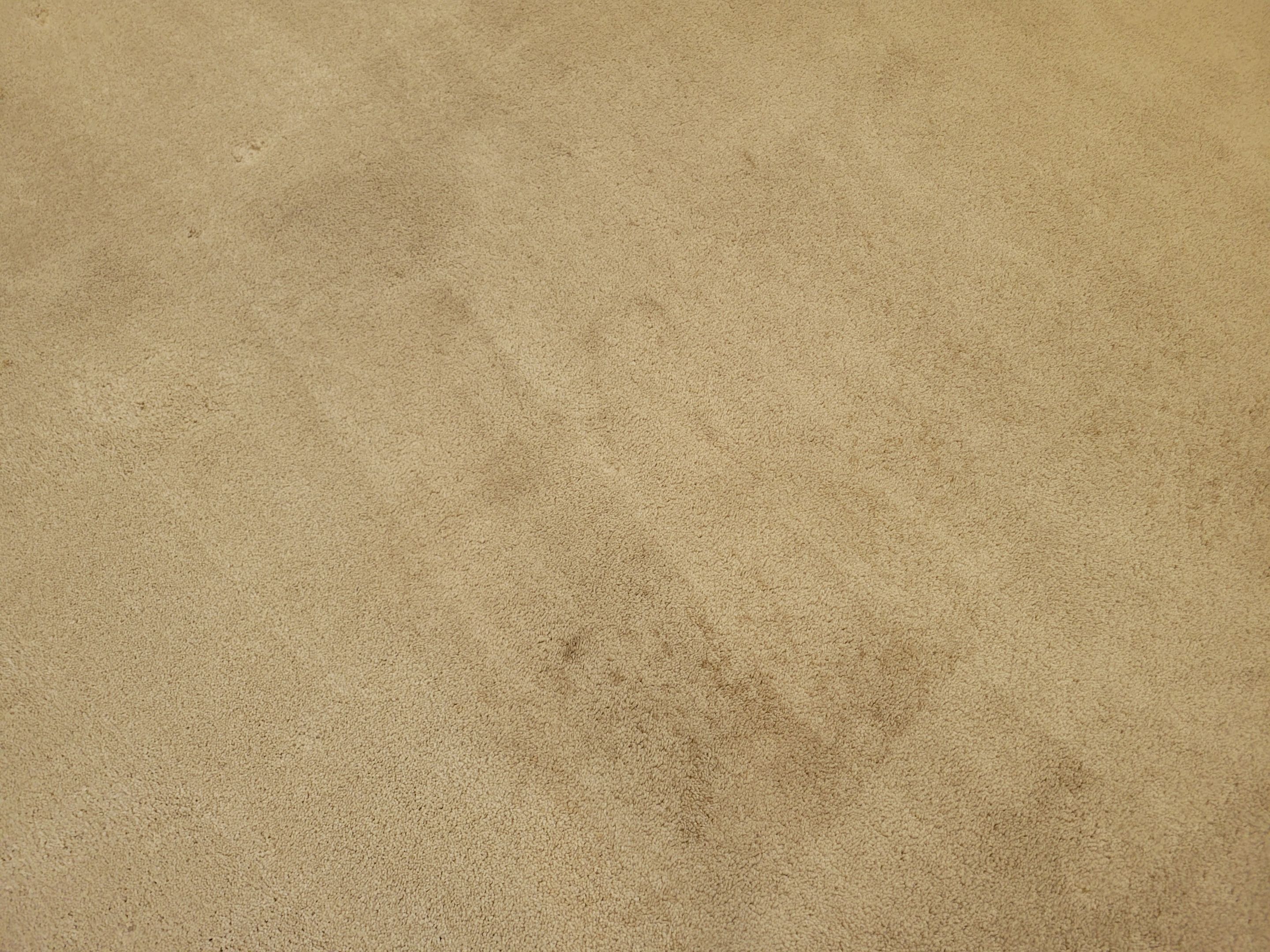 Carpet Cleaning, Vacant Townhome by Ardent Carpet Restore LLC