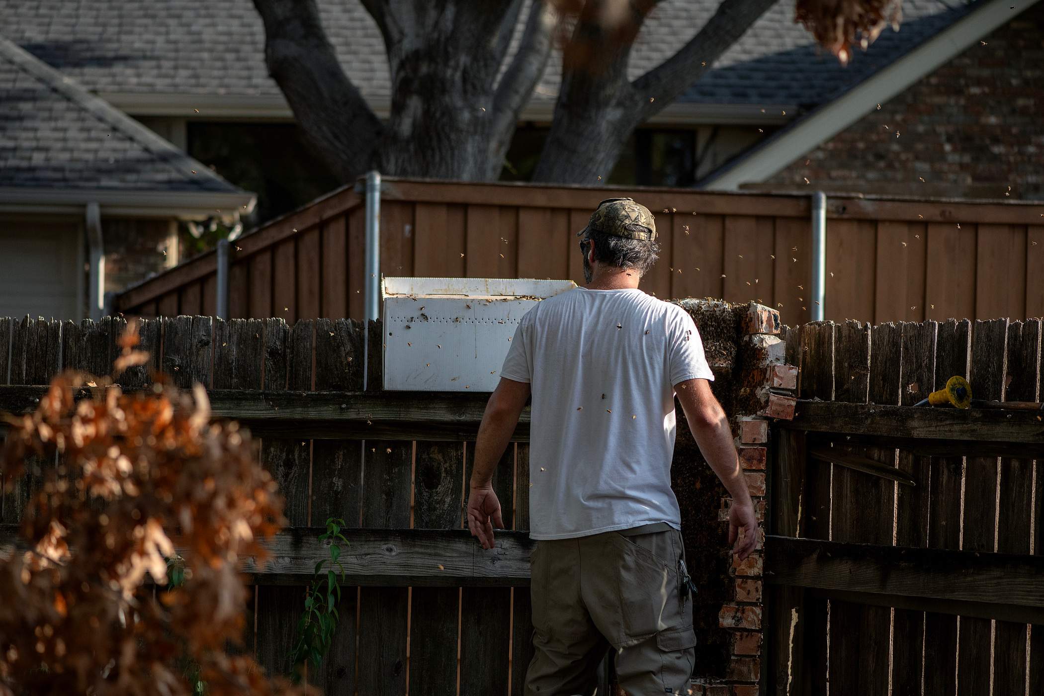 Brick Column by Rockwall Honey Bee Company