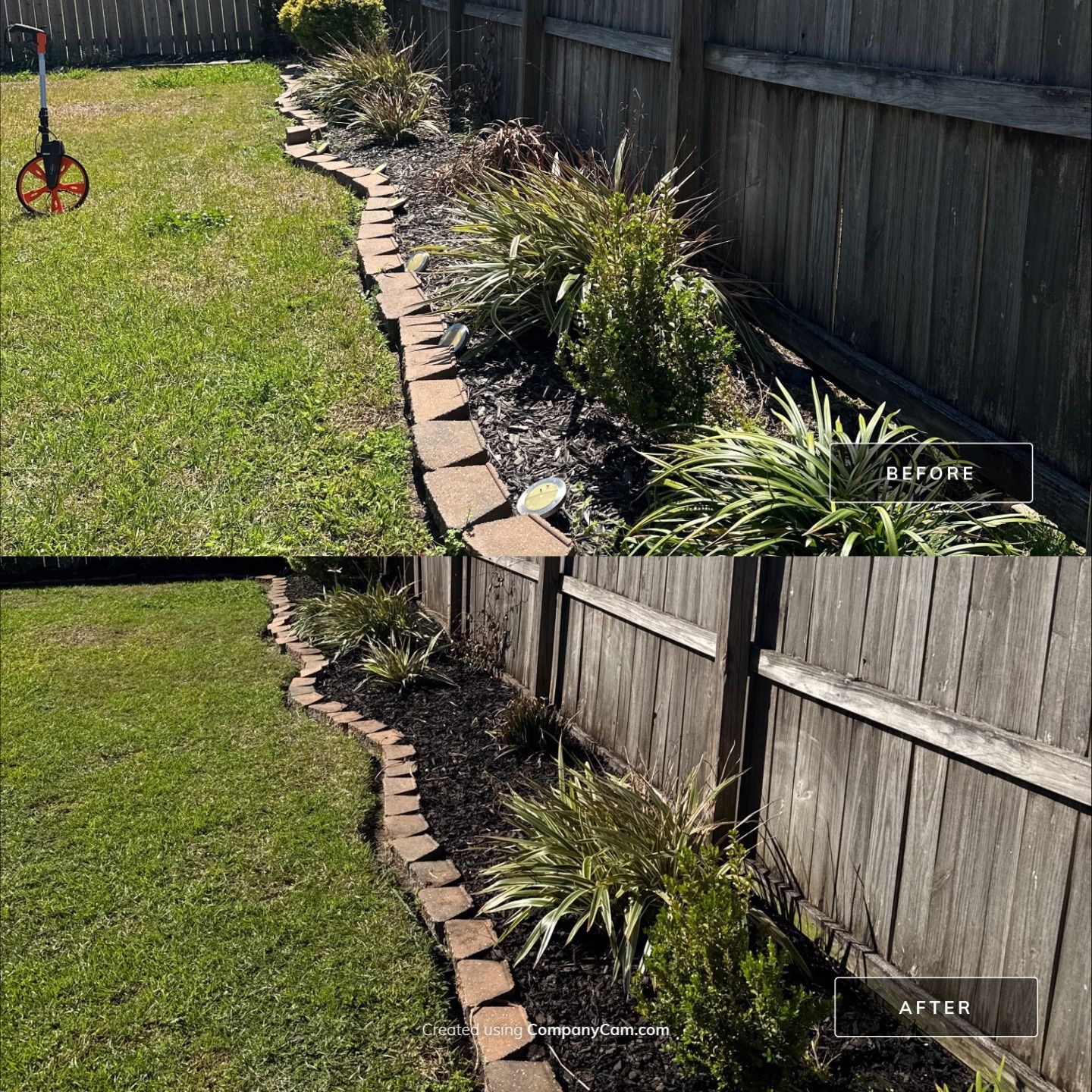 HEDGE TRIM / BED CLEAN / MULCH INSTALL using BROWN MULCH "BARK BRITE" by CutScape, LLC.
