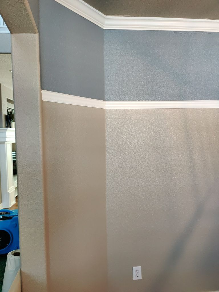 Water Damage  by Accountable Home Services