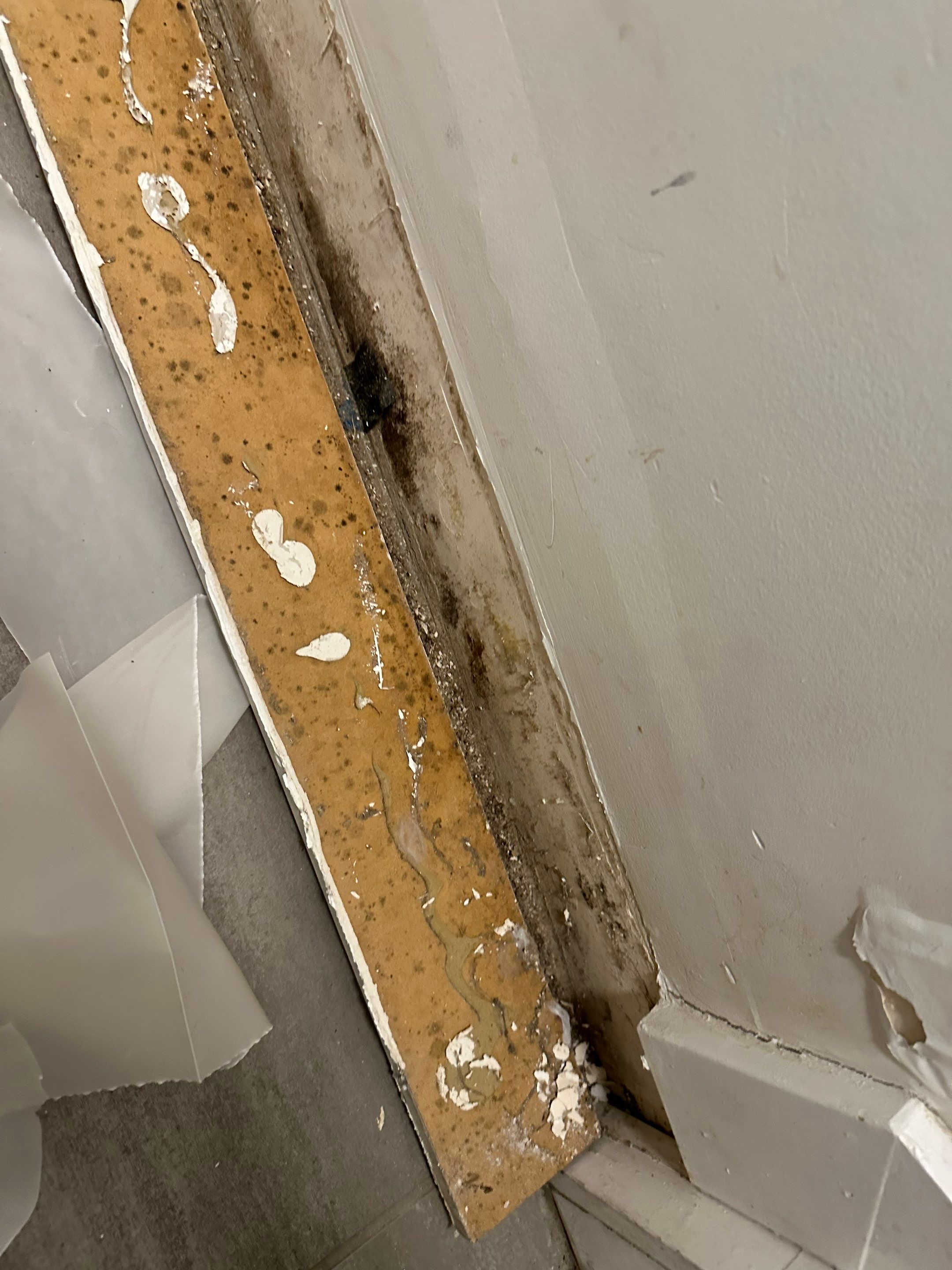Water Damage in Denver, CO by Alpha Restoration 