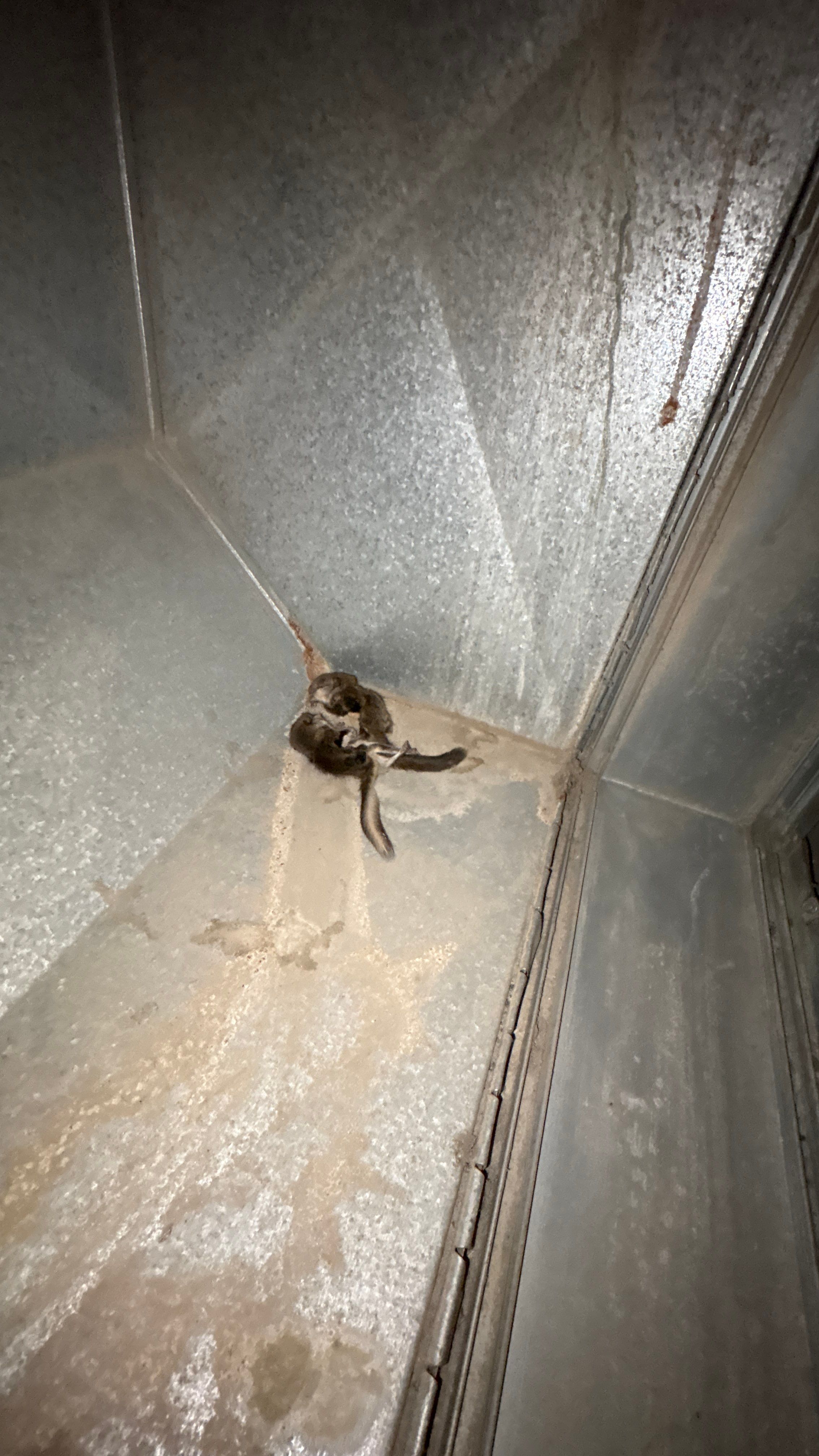 Air Duct & Dryer Vent Cleaning in Baden, PA by Superior Air Duct Cleaning