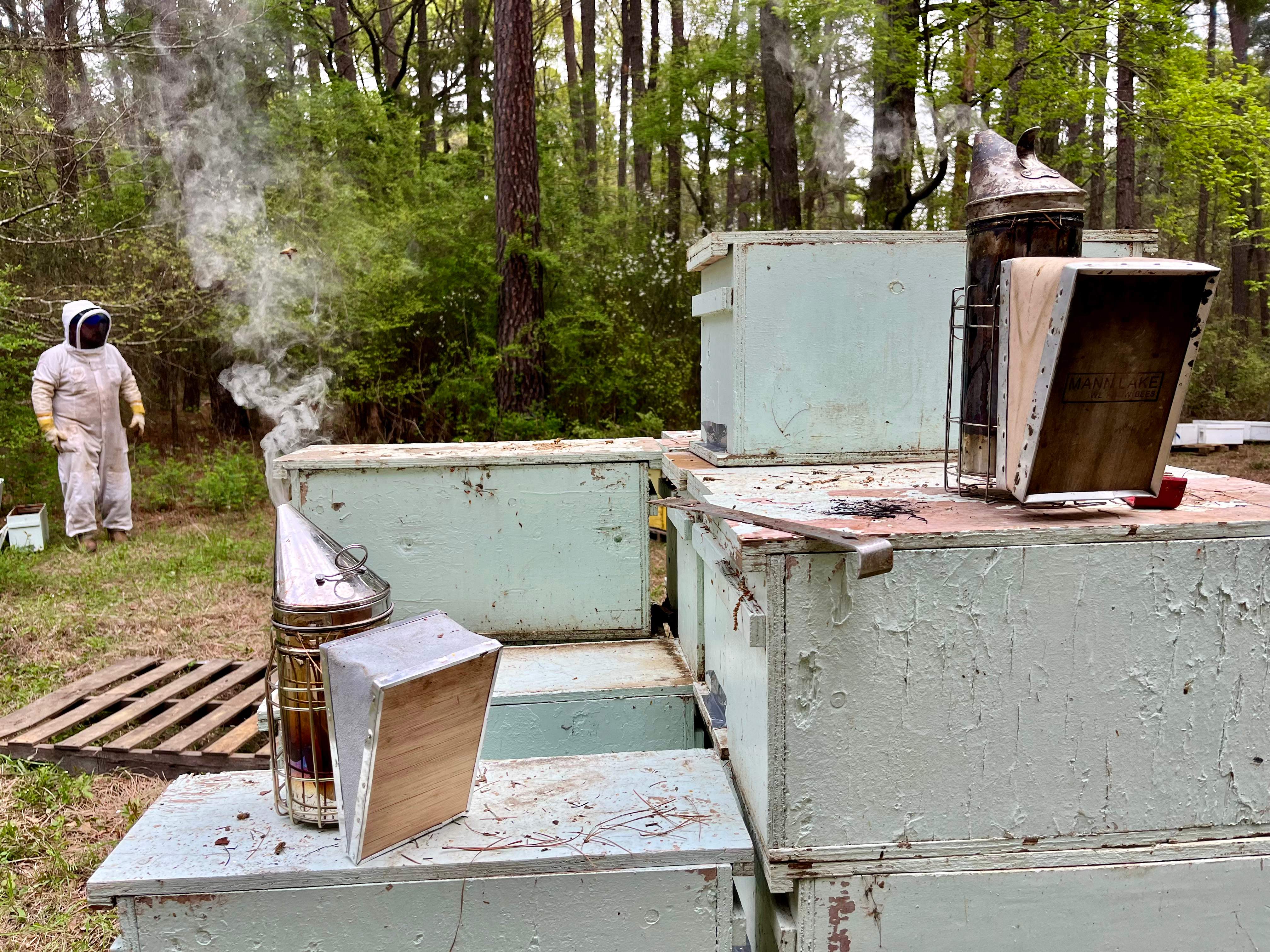 Tree Farm Apiary by Rockwall Honey Bee Company