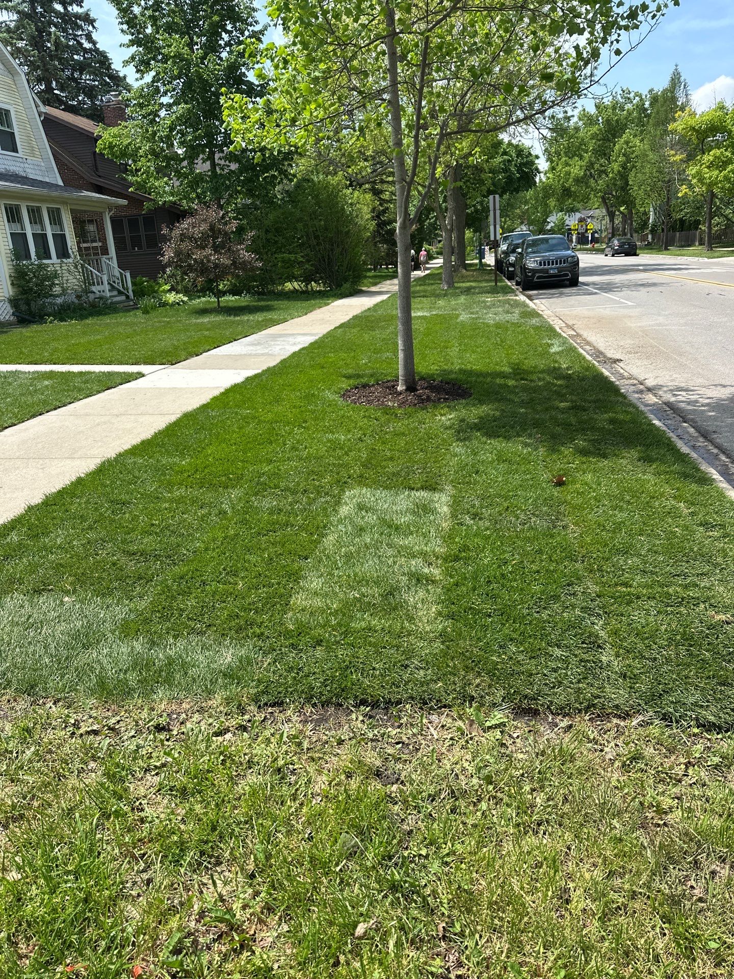 Tom D. - Wilmette, IL by A&N