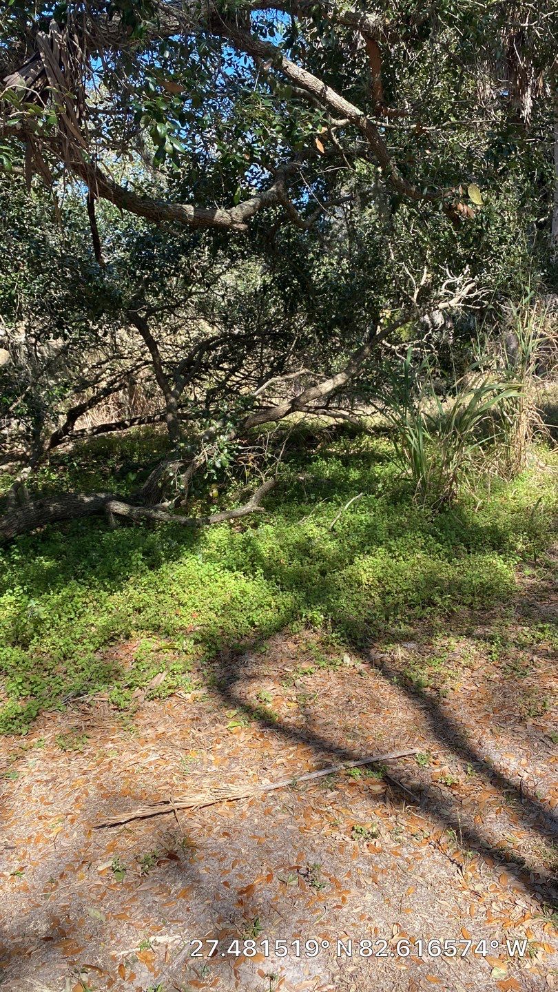 Bradenton, FL 6ft. Treated Board on Board Privacy Fence  by Asap fence and gates, LLC