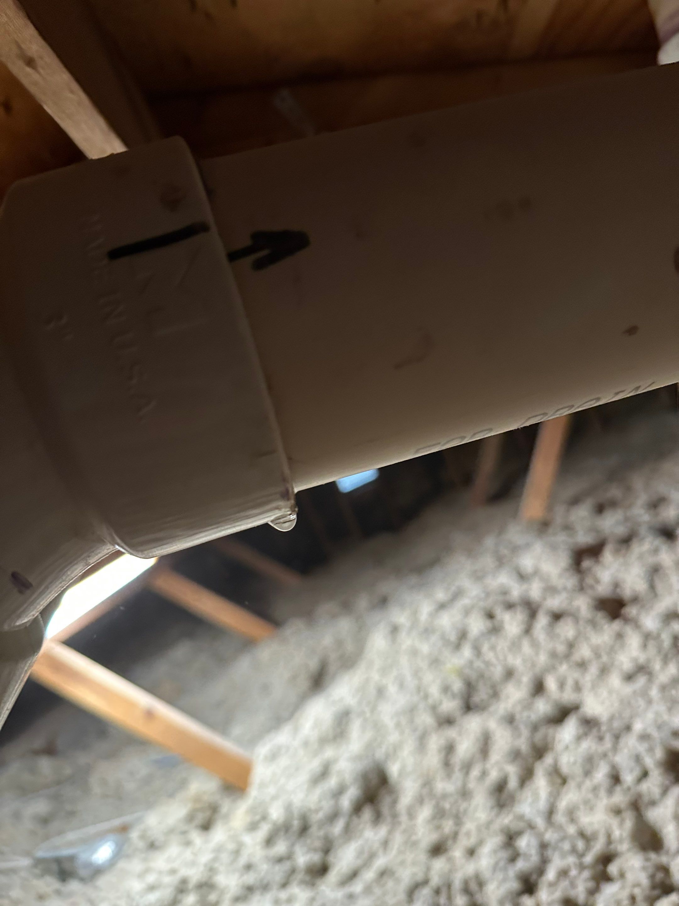 Mold in Crawl Space in Broomfiled, CO by Alpha Restoration 