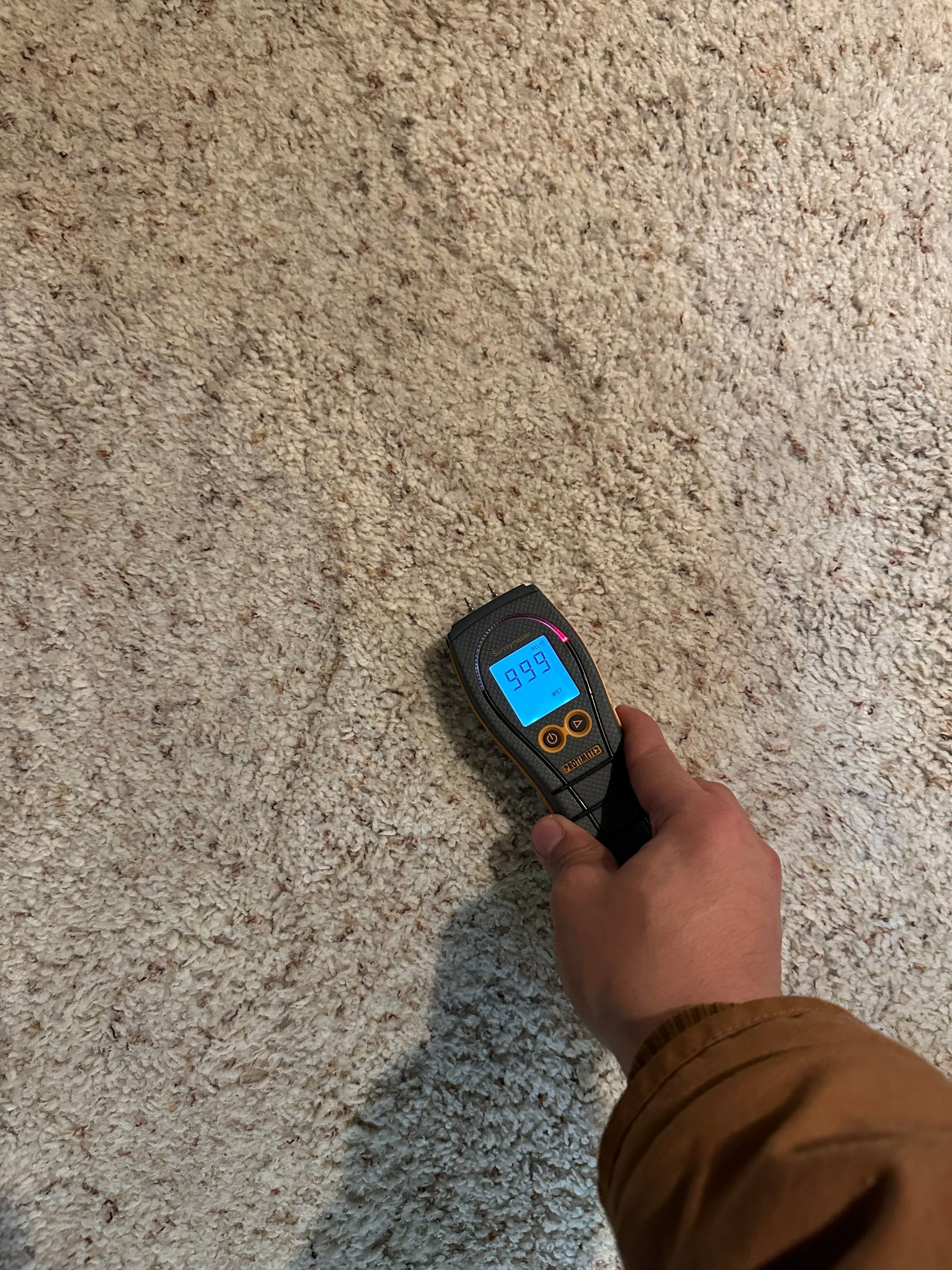 Water Damage in Highlands Ranch by Alpha Restoration 