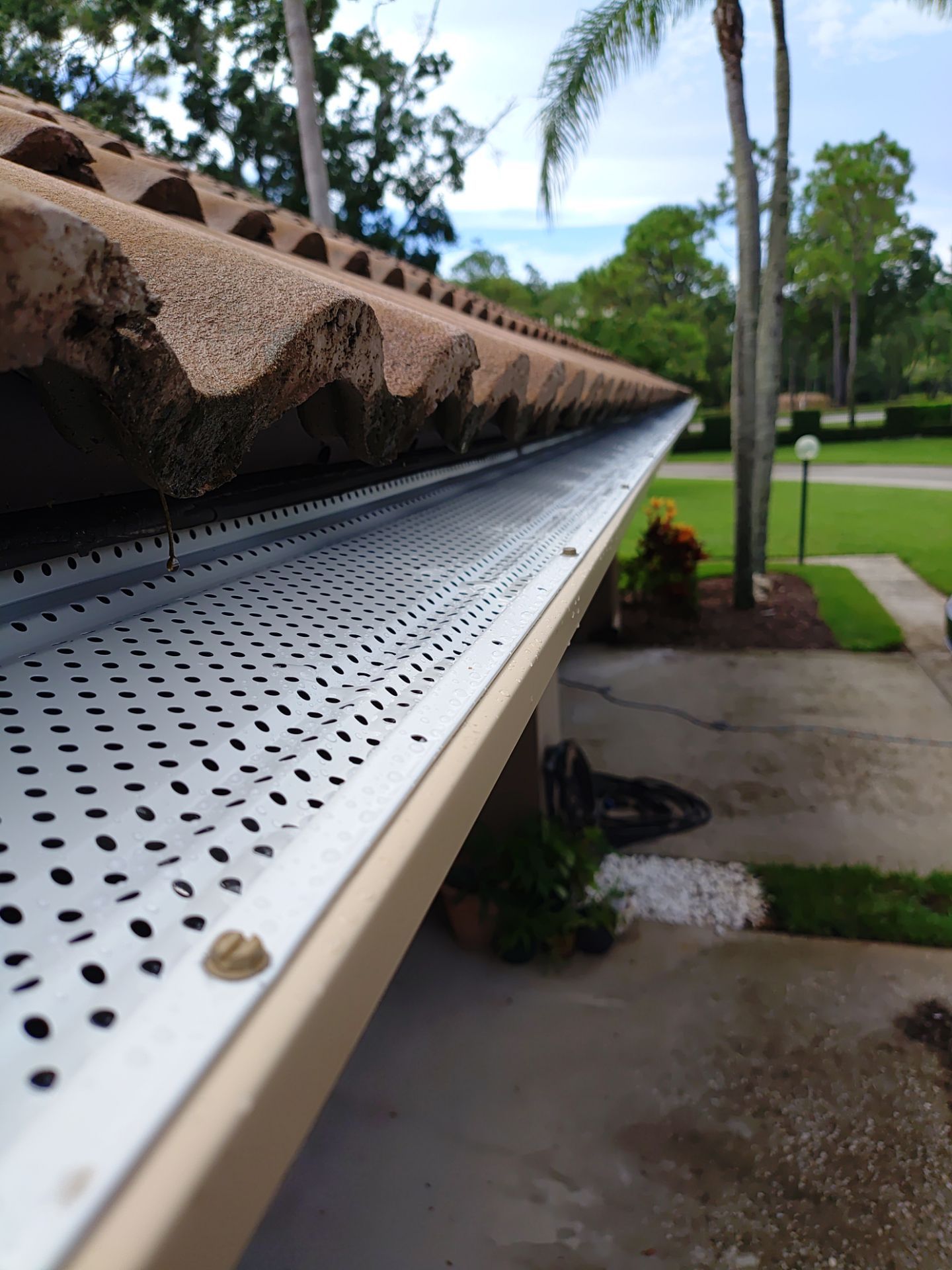 Replace gutter using Gutter Guards, Seamless Gutters, New Downspouts in Palm Harbor FL by Gutter Professors