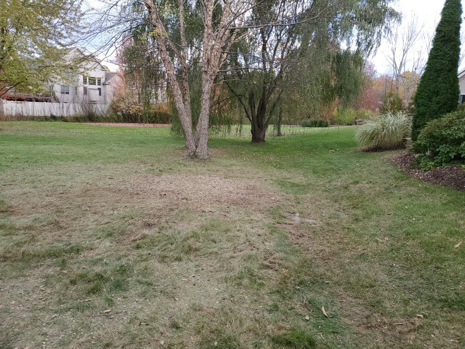 Tree Removal using Tree Removal by Mike Jones & Sons Tree Service LLC 