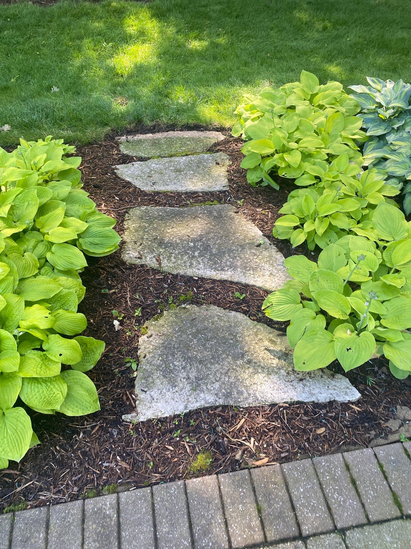 Patio and stepper cleaning by Shulla Exterior Cleaning
