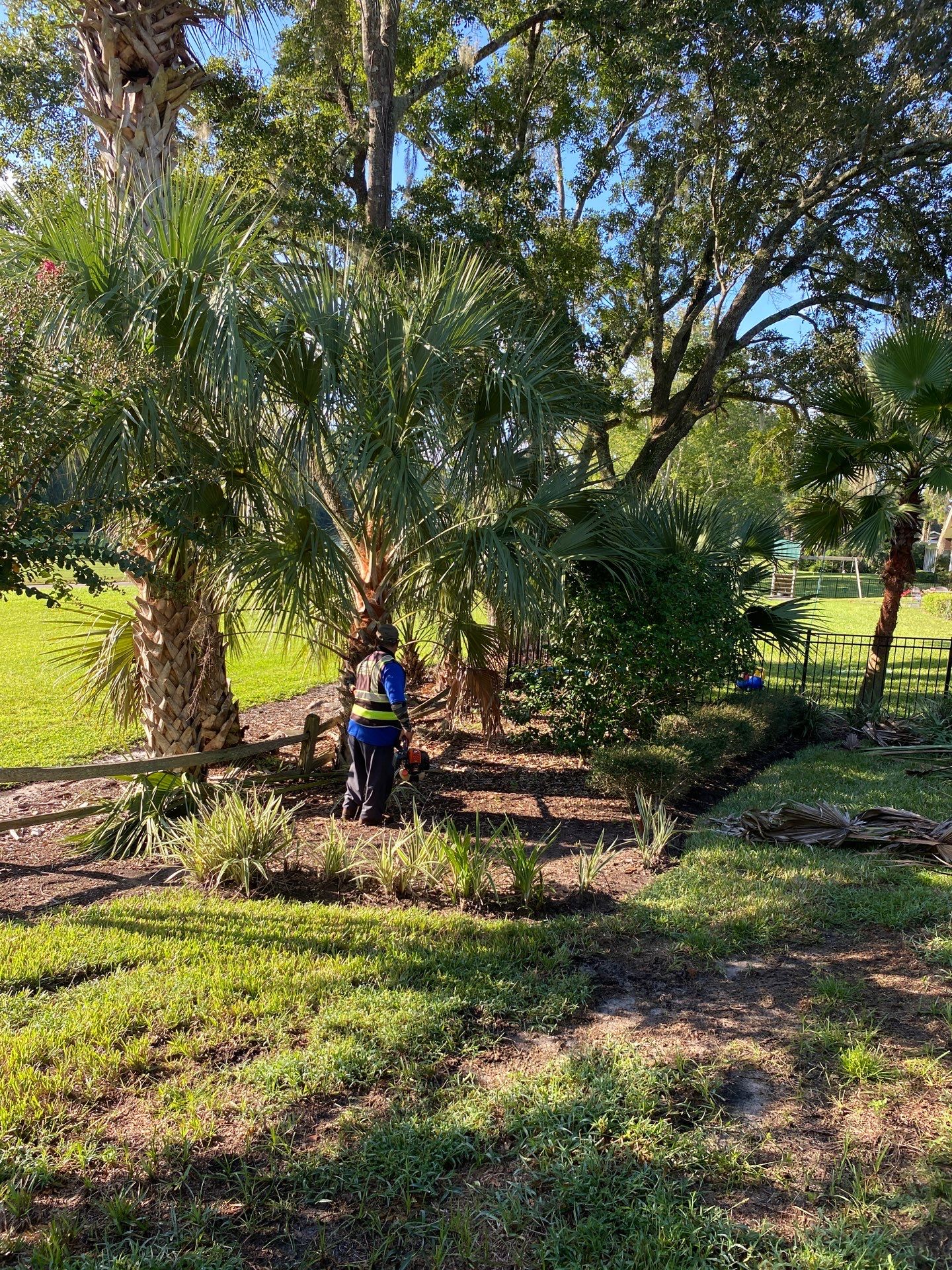 Deerwood Residence | Palm Tree Trimming by ProGreen Services