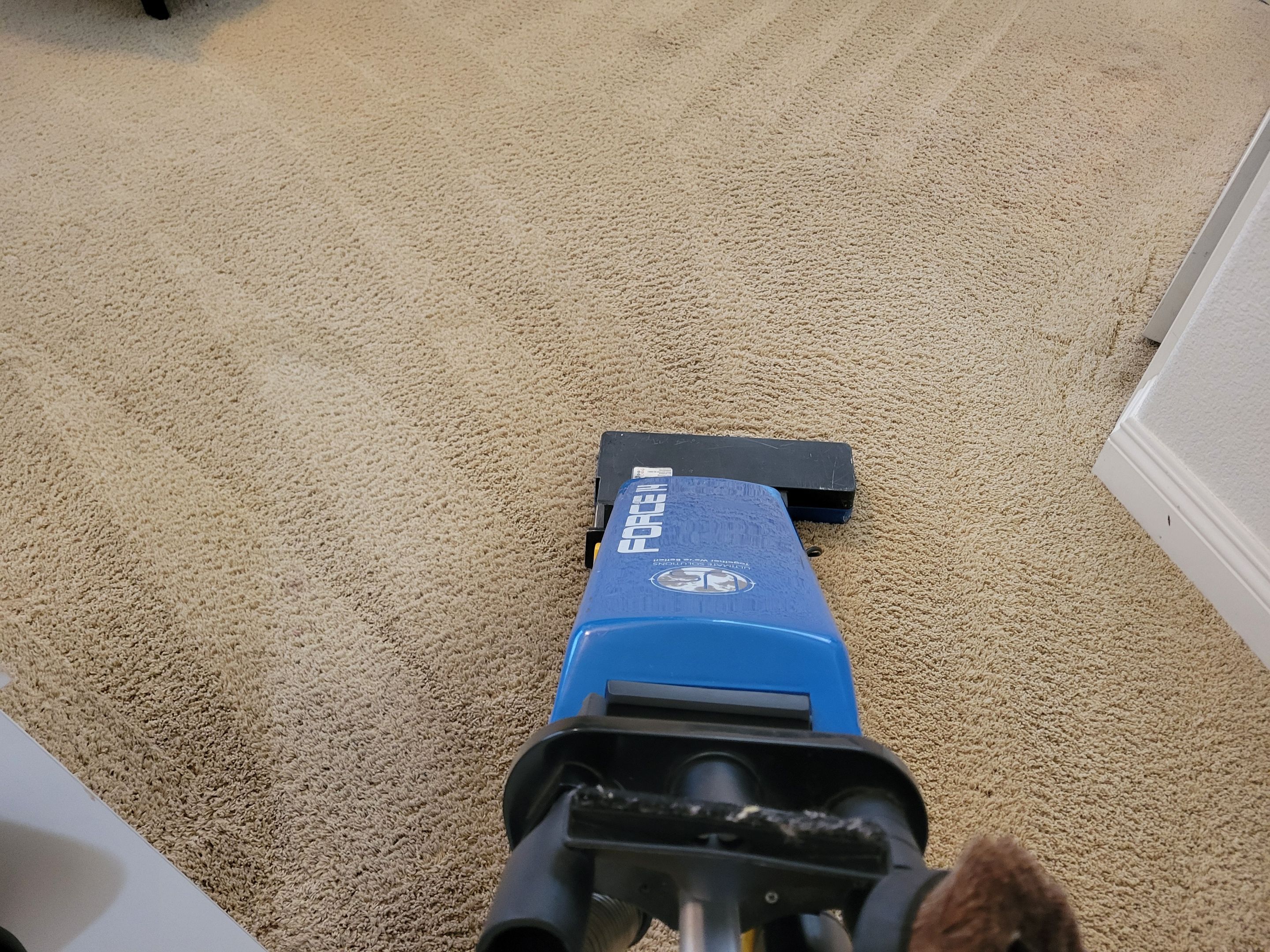 Carpet Cleaning near Shingle Springs by Ardent Carpet Restore LLC